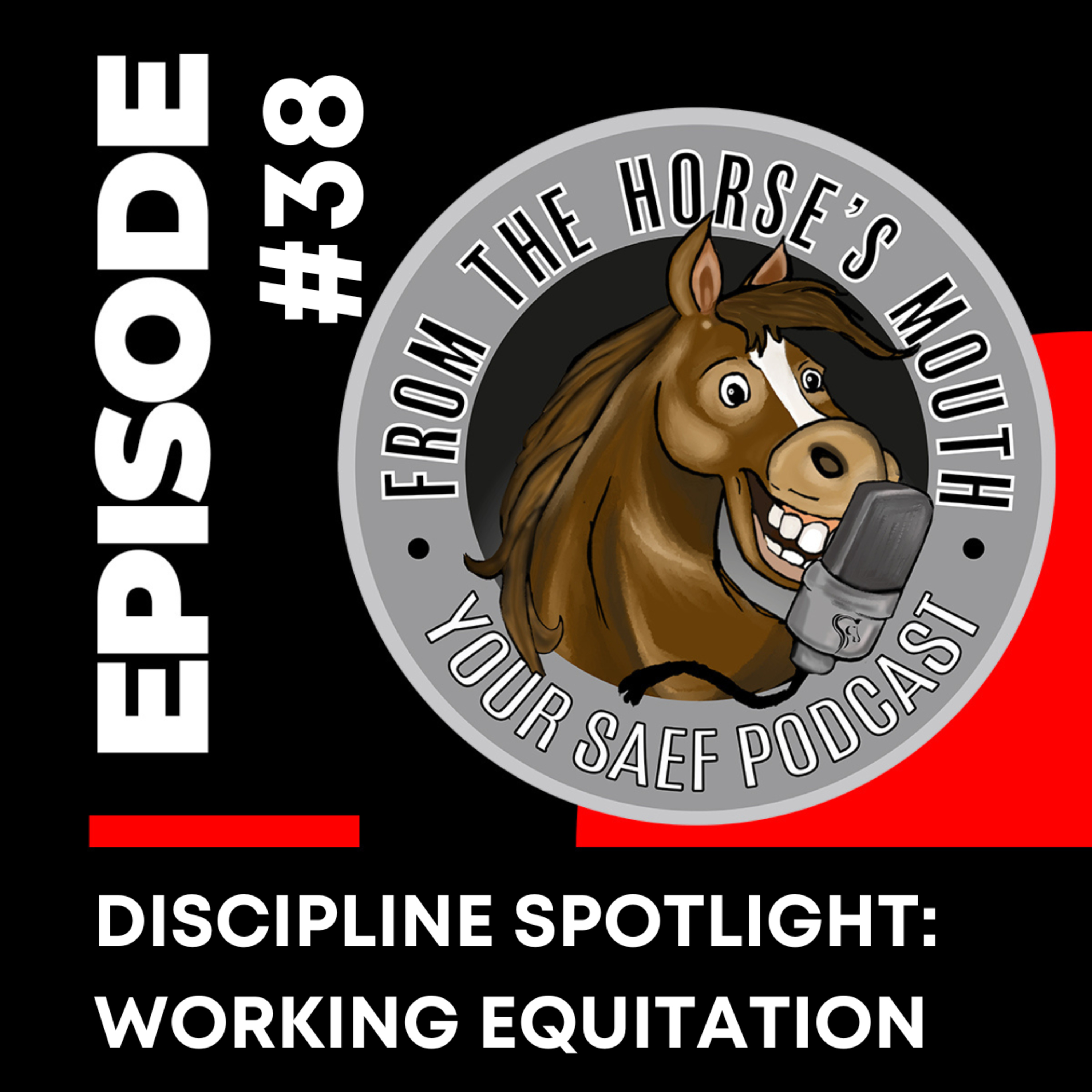 #38 | Discipline Spotlight: Working Equitation — From the Horse's Mouth