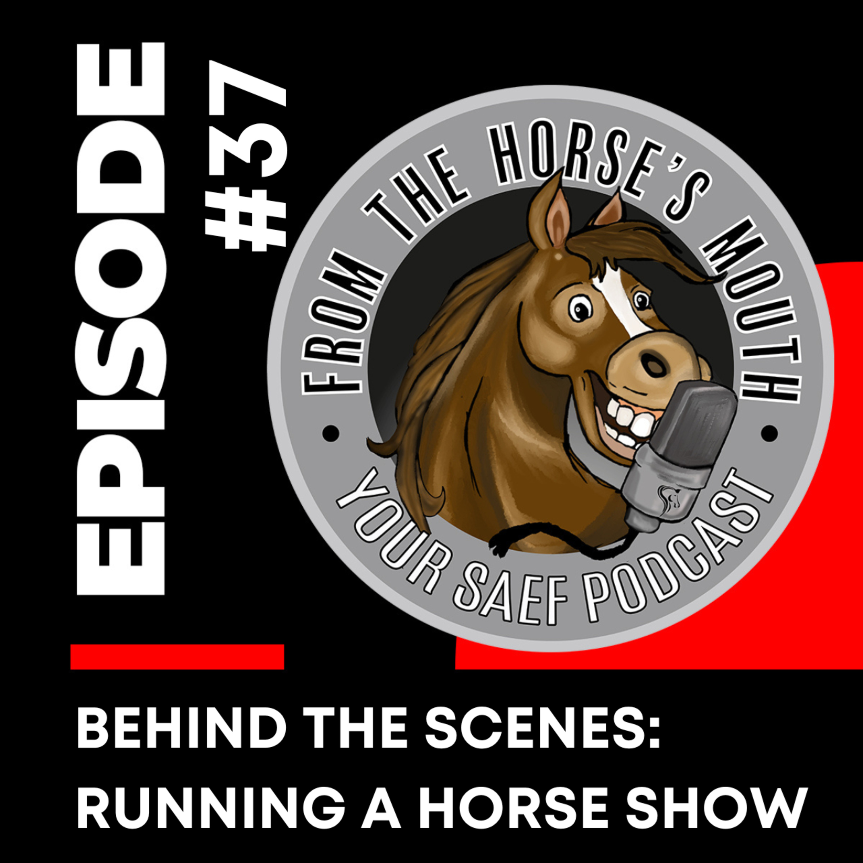 #37 | BEHIND THE SCENES: Running a Horse Show — From the Horse's Mouth