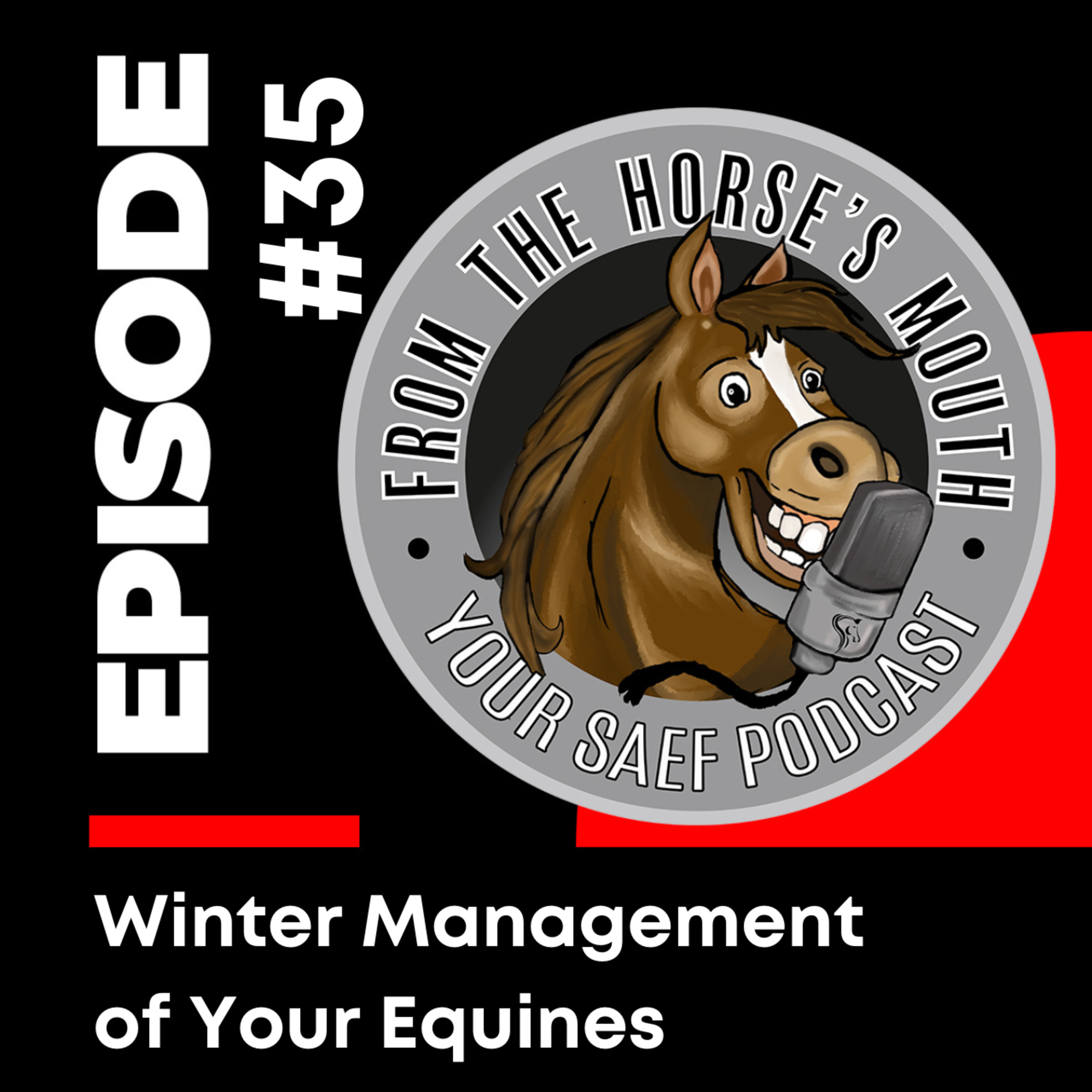 #35 | Winter Management of Your Equines — From the Horse's Mouth
