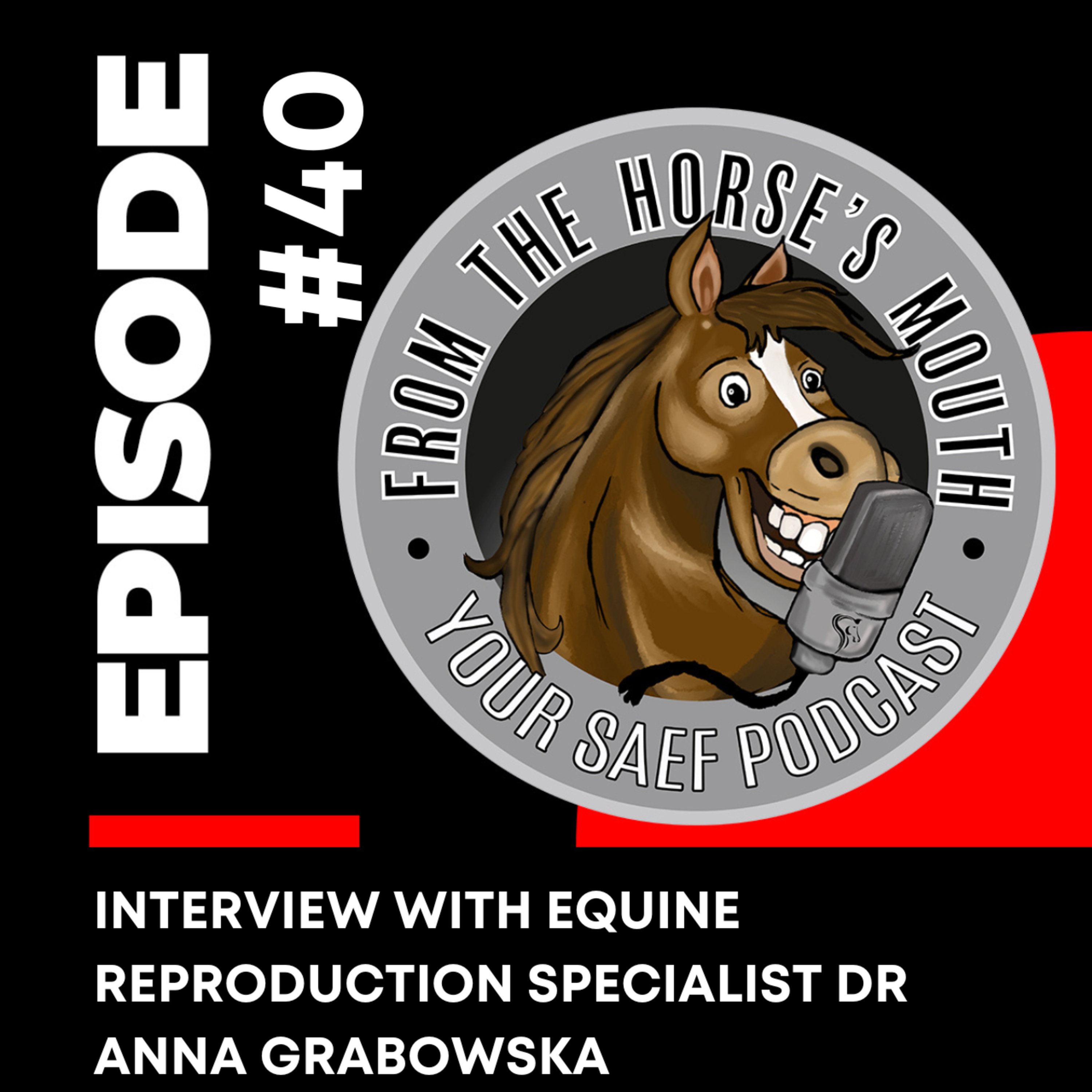 From the Horse\'s Mouth
