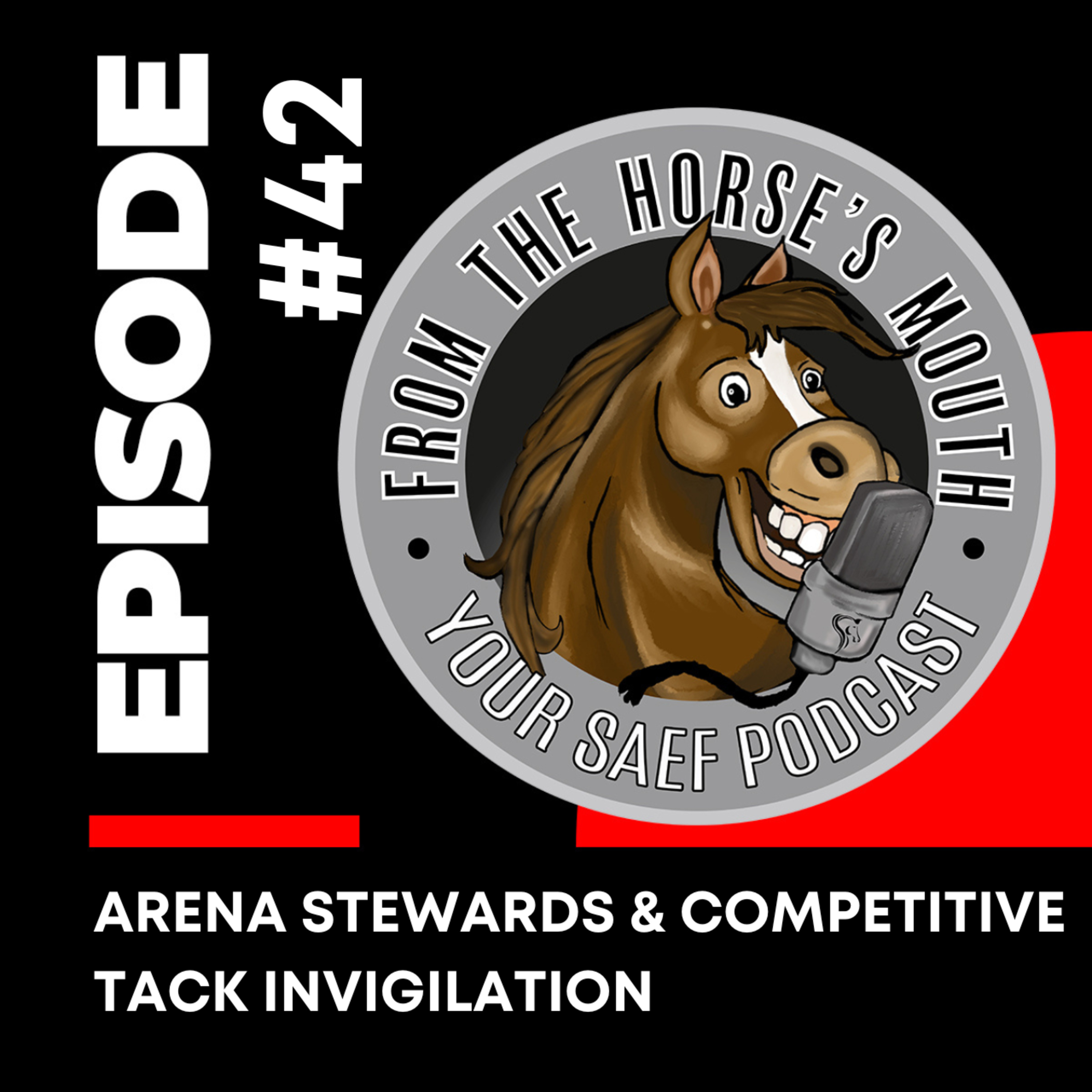 #42 | Arena Stewards & Competitive Tack Invigilation — From the Horse's Mouth
