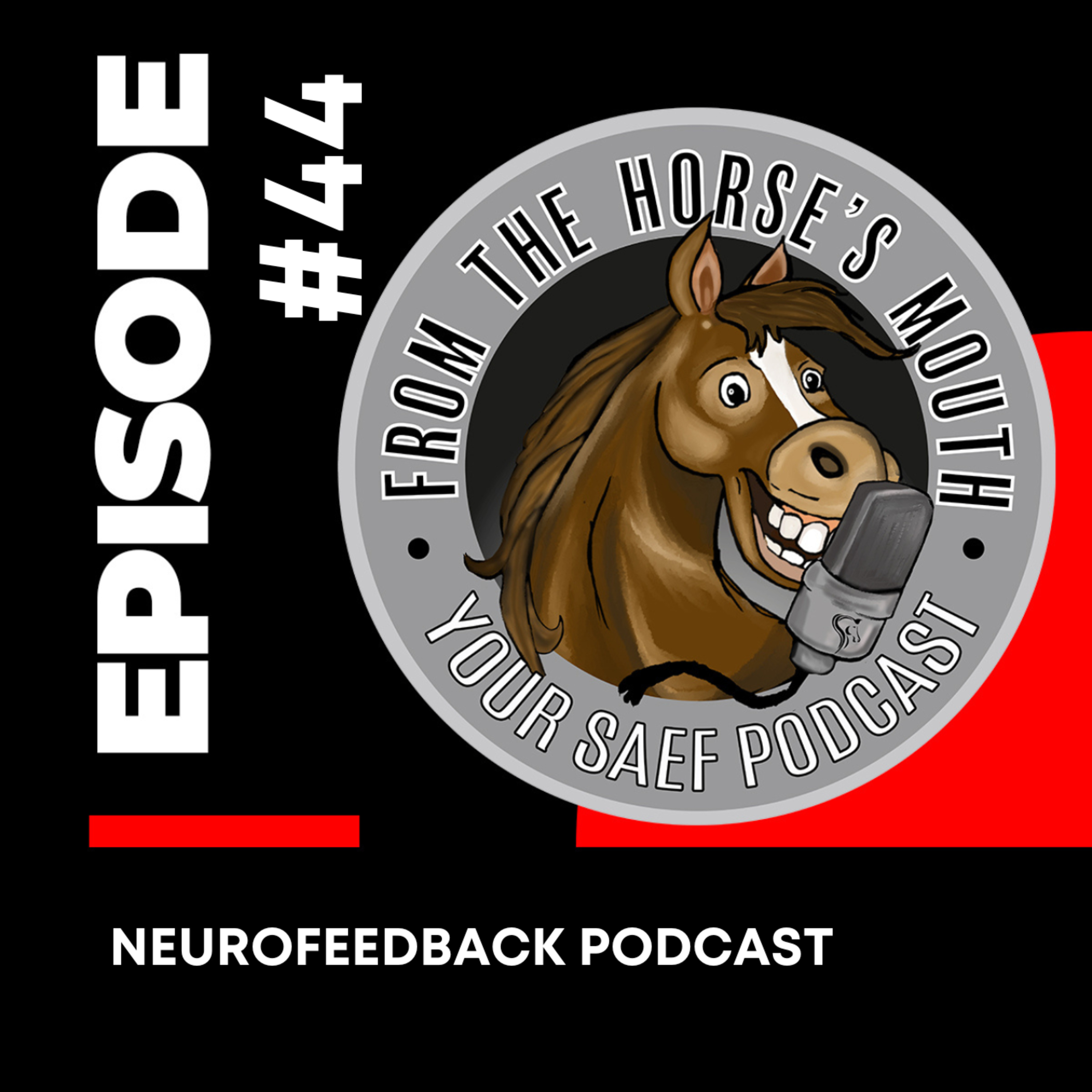 #44 | NEUROFEEDBACK PODCAST — From the Horse's Mouth