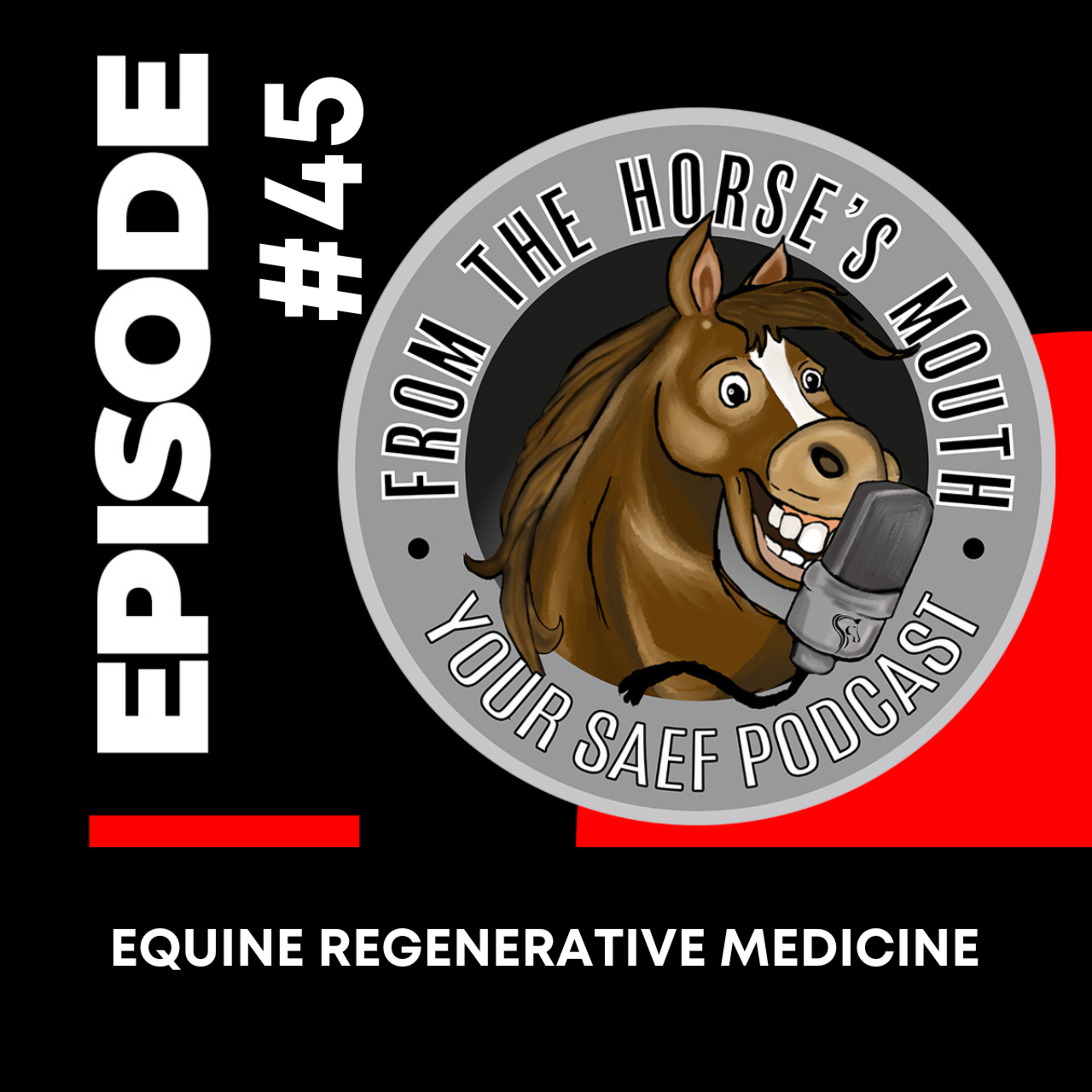 #45 | Equine Regenerative Medicine — From the Horse's Mouth