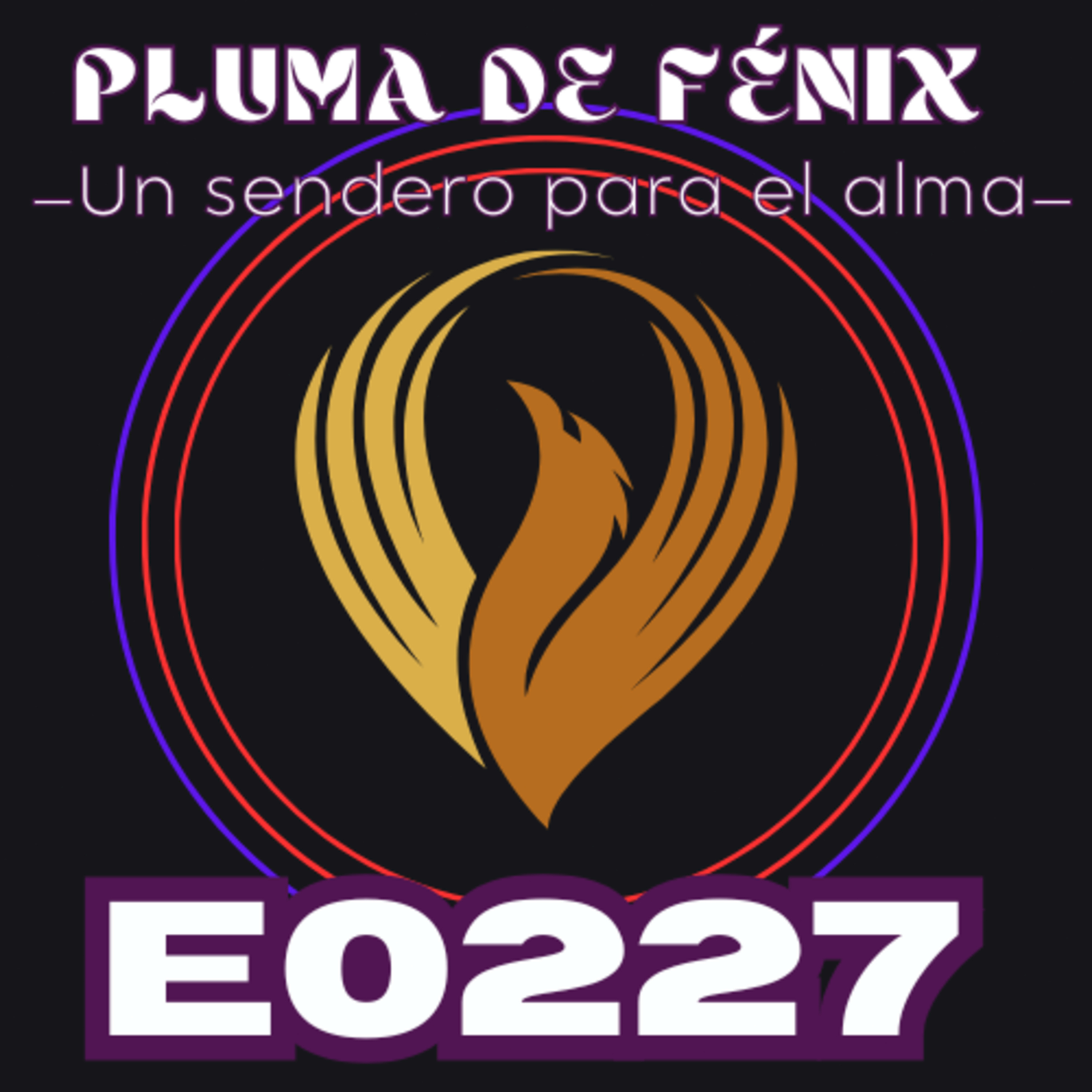 Portada de Pluma de Fénix