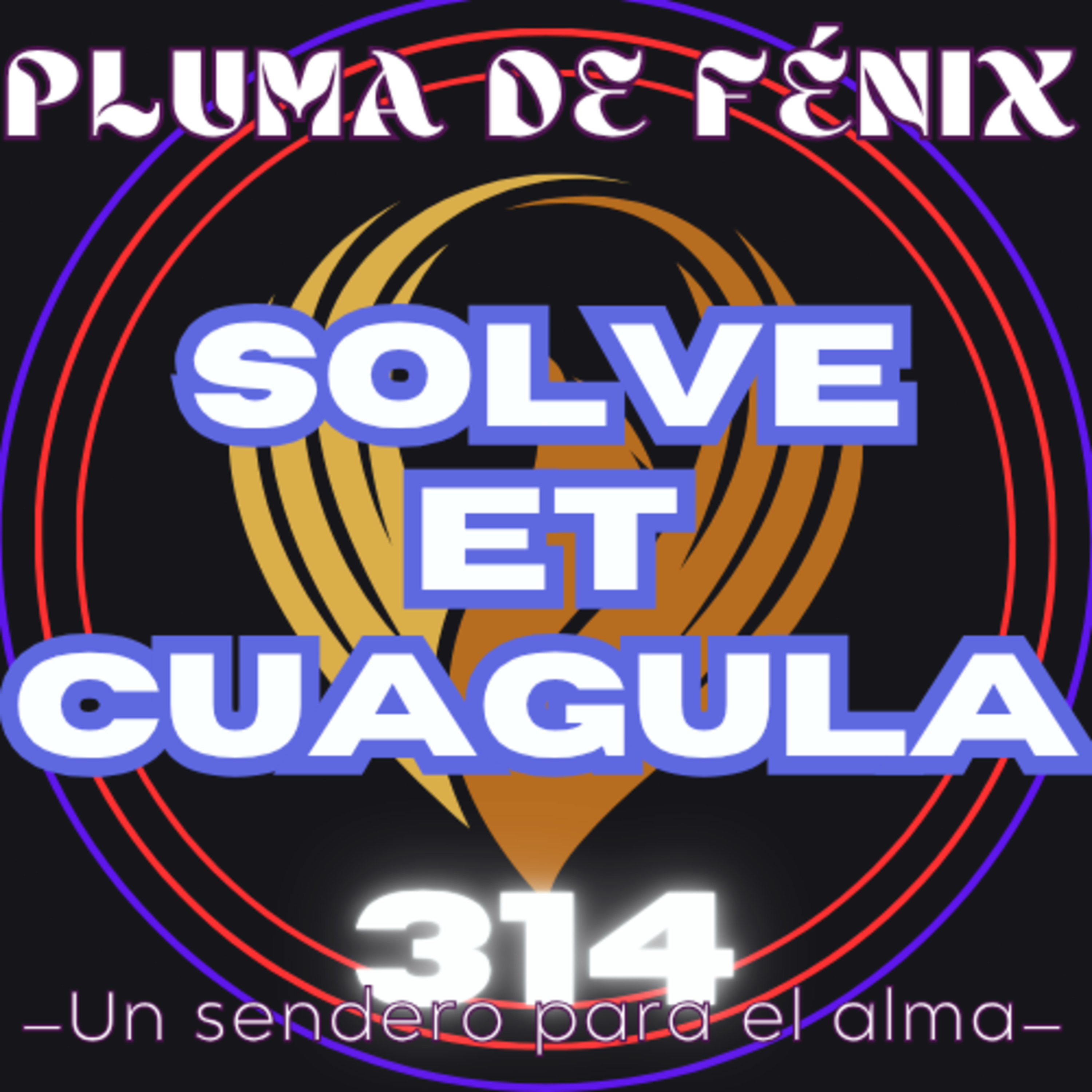 Portada de Pluma de Fénix