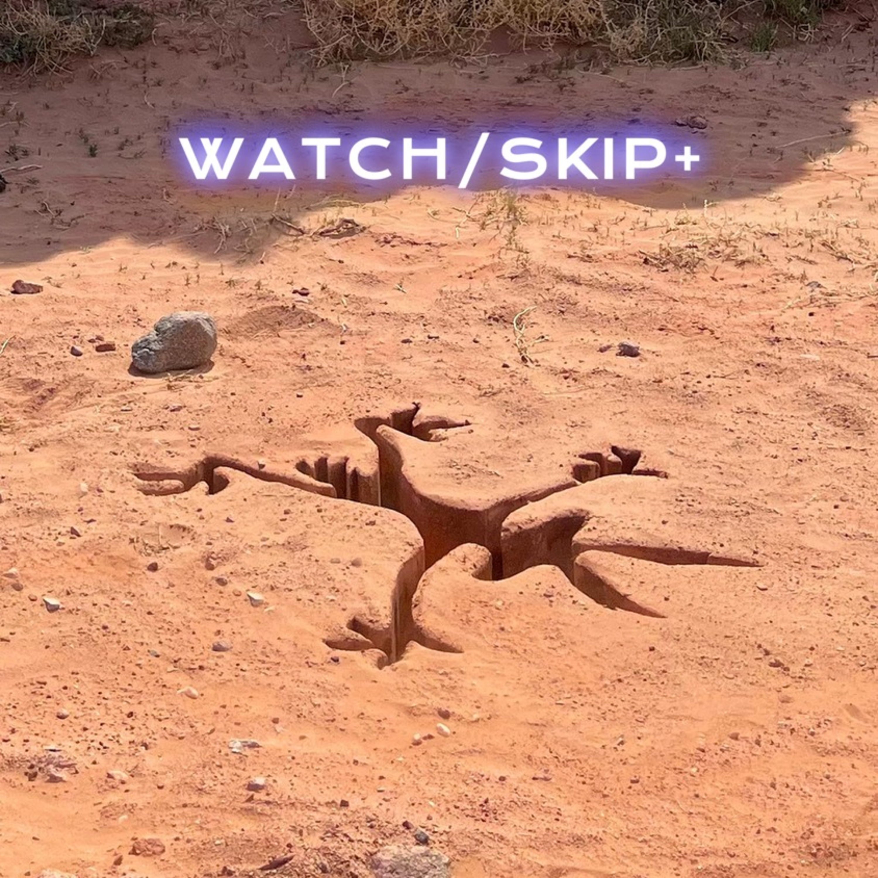 Episode 184: COYOTE VS. ACME spoiler free episode artwork
