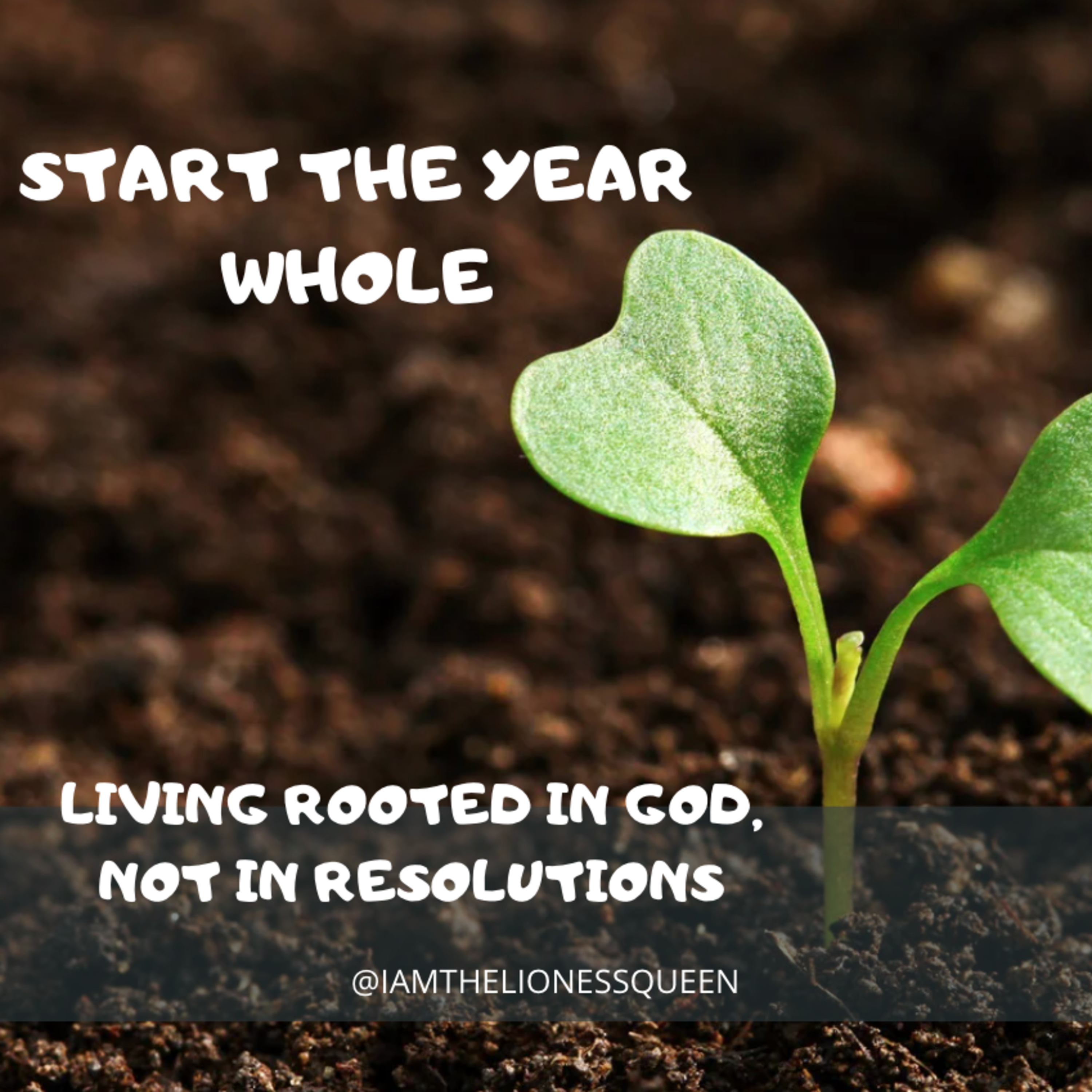 S8Eps12: Start the Year Whole: Living Rooted in God, Not in Resolutions episode artwork