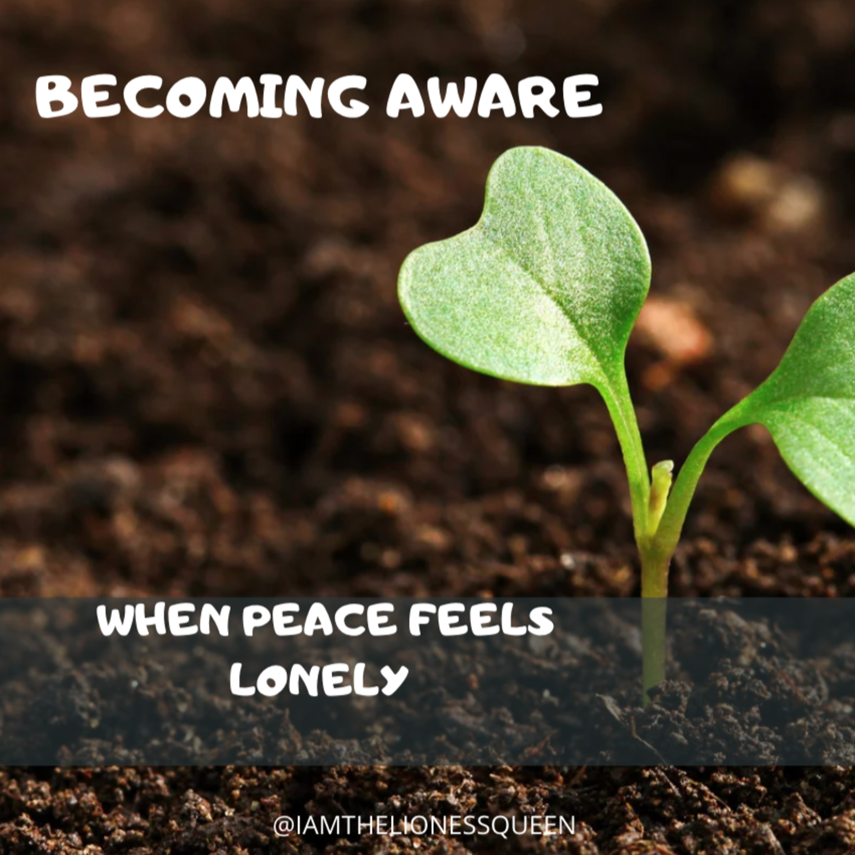 S8Eps16: Becoming Aware: When Peace Feels Lonely episode artwork