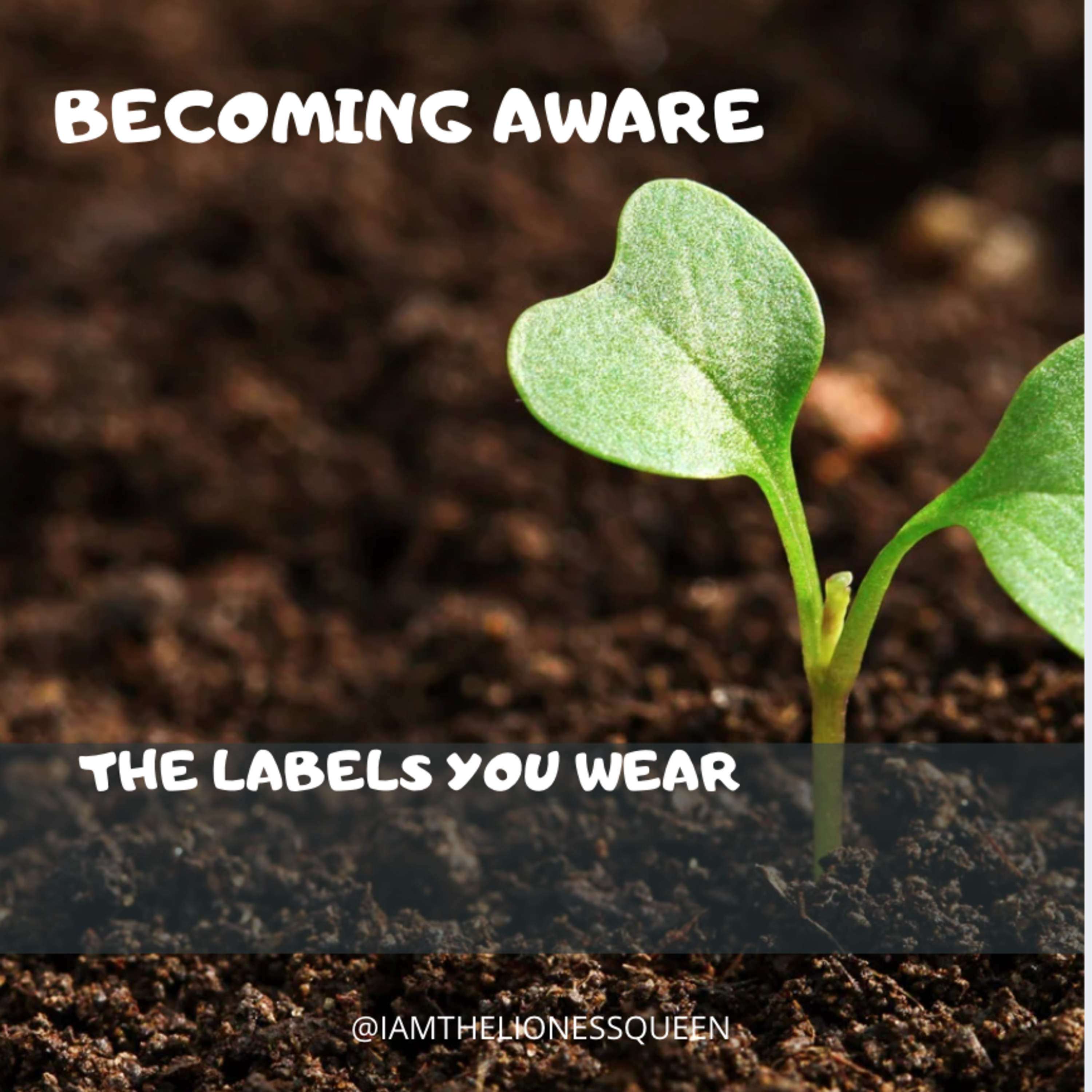 S8Eps17: Becoming Aware of the Labels You Wear episode artwork