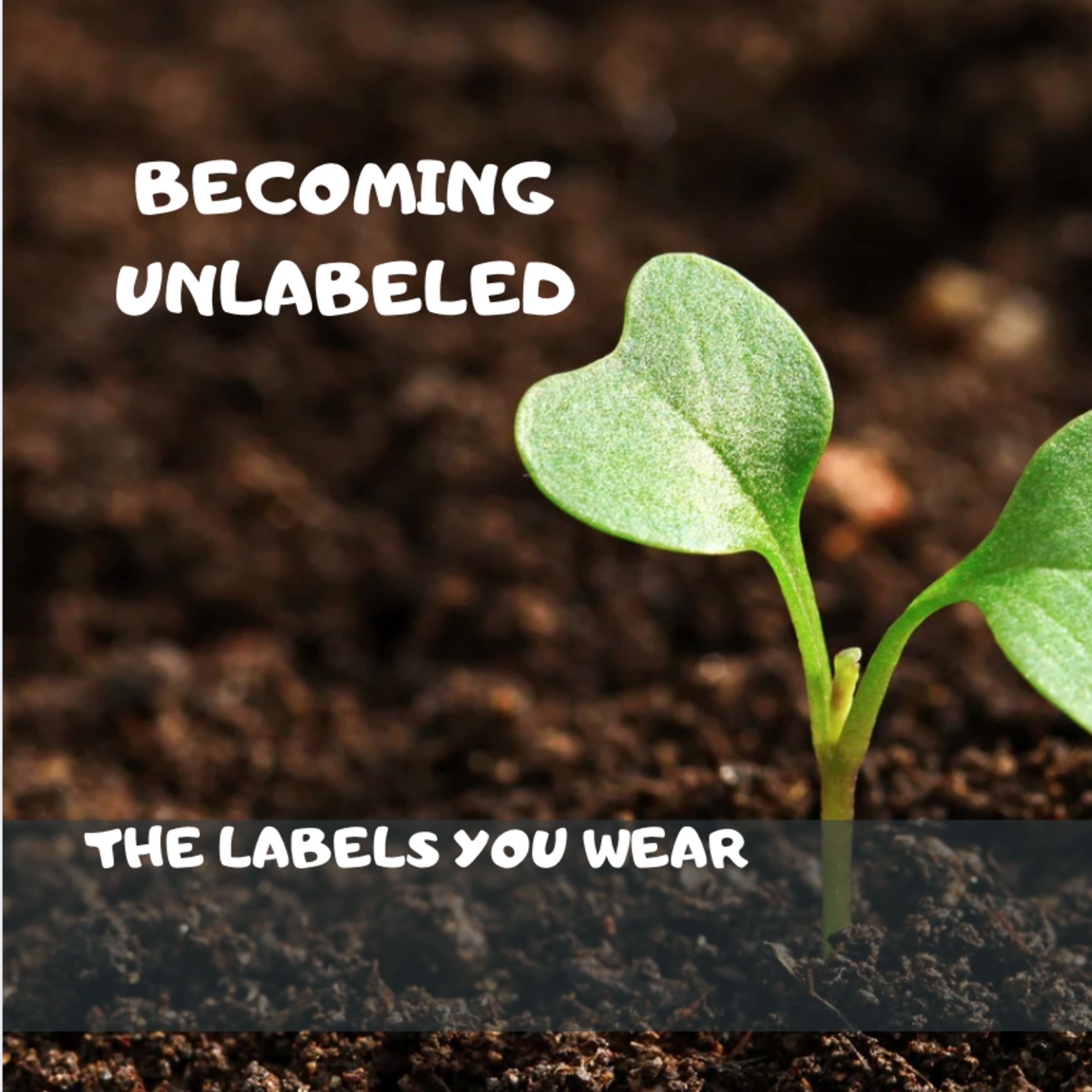 S8Eps18: Becoming Unlabeled episode artwork