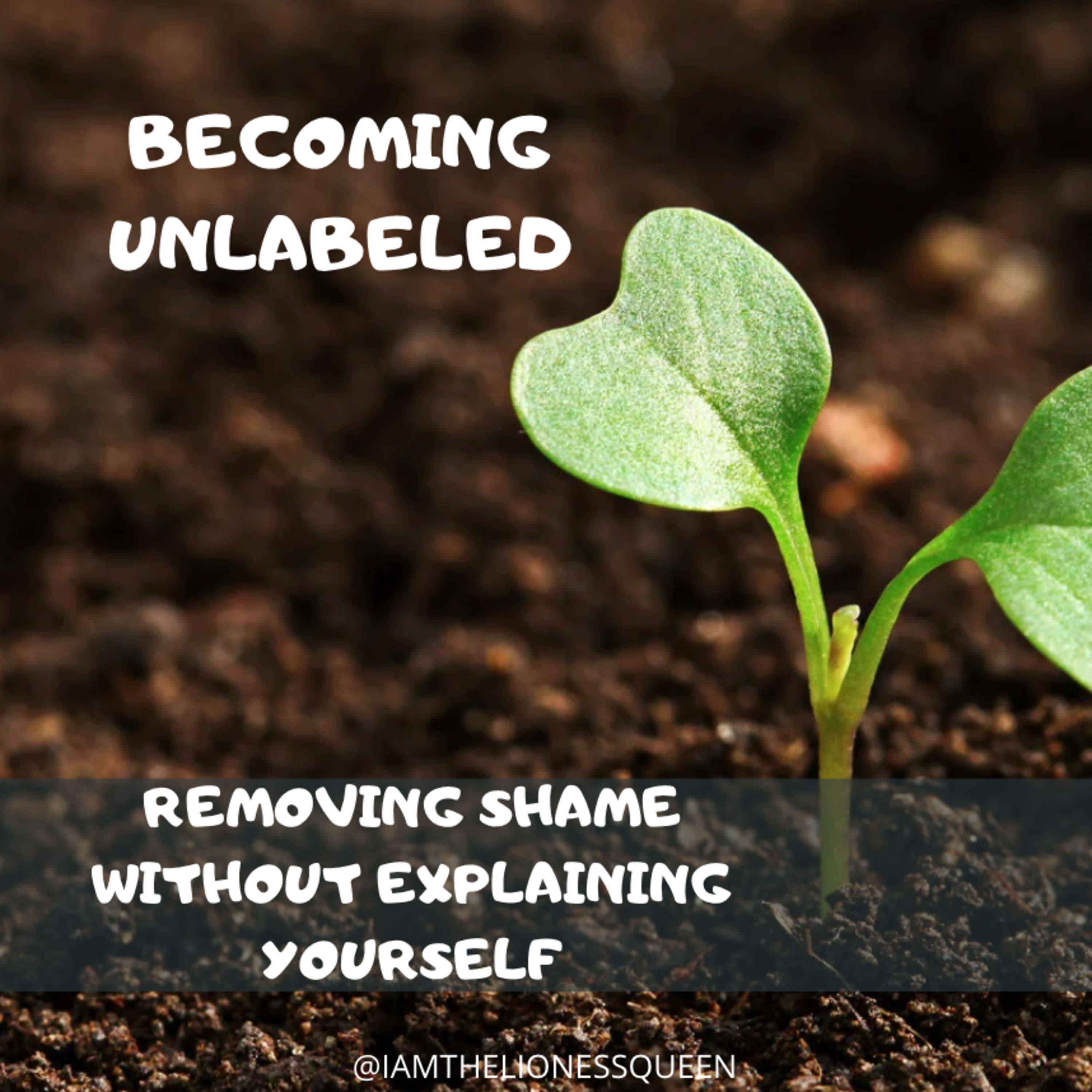 S8Eps20: Becoming Unlabeled: Removing Shame Without Explaining yourself episode artwork