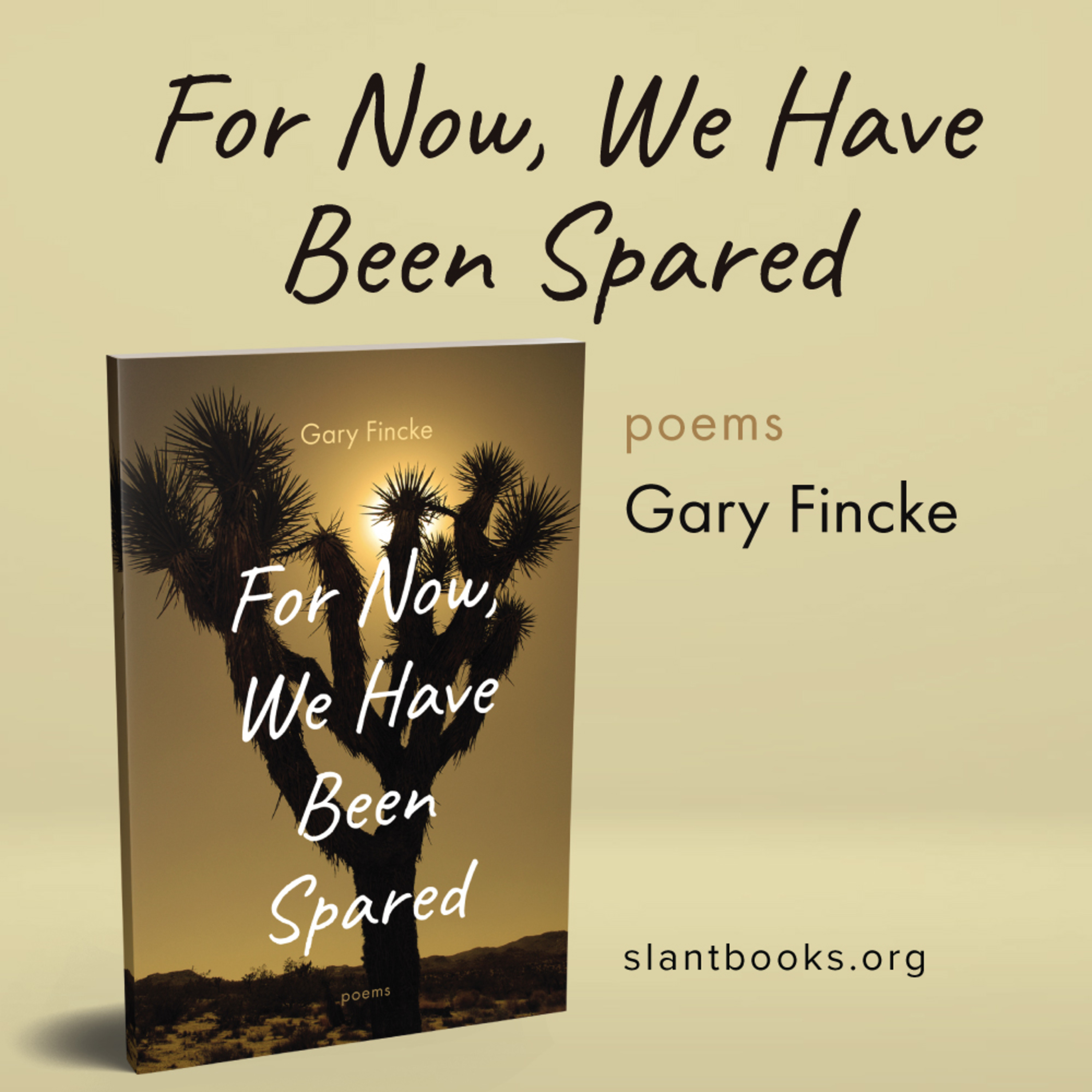 #30: Book Launch Event for "For Now, We Have Been Spared" episode artwork