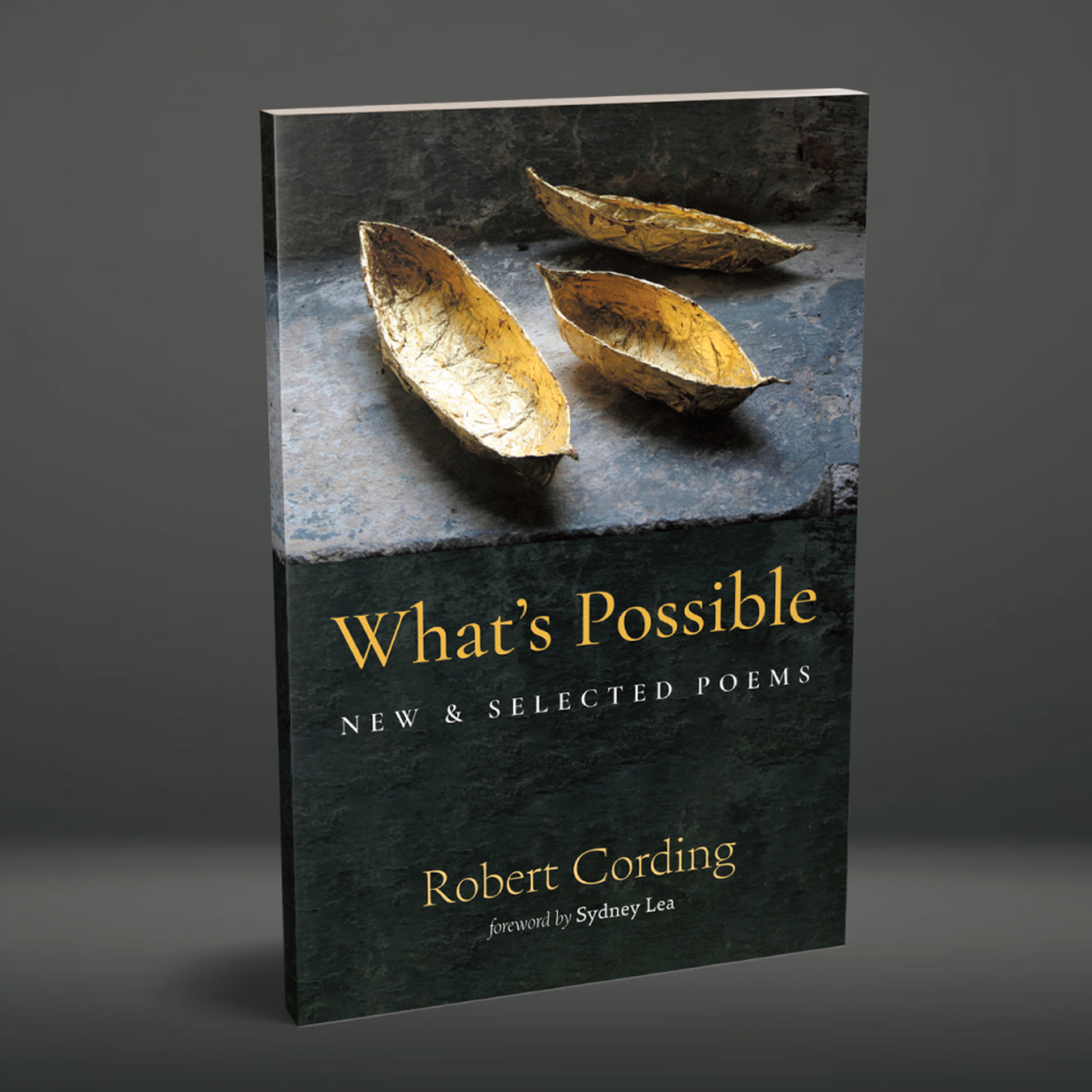 #43: Book Launch for "What's Possible" episode artwork