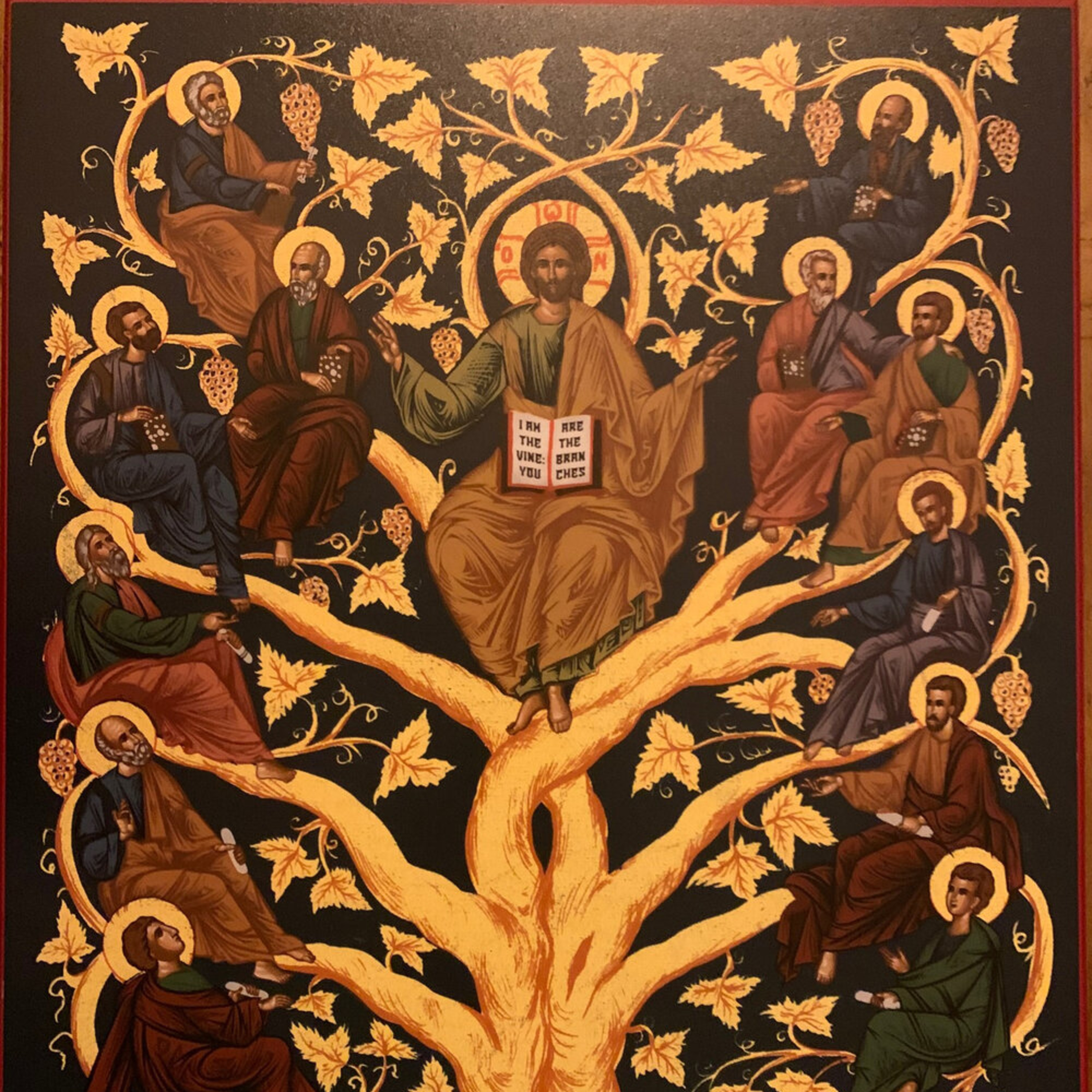 I am the Vine—John 15:1-8