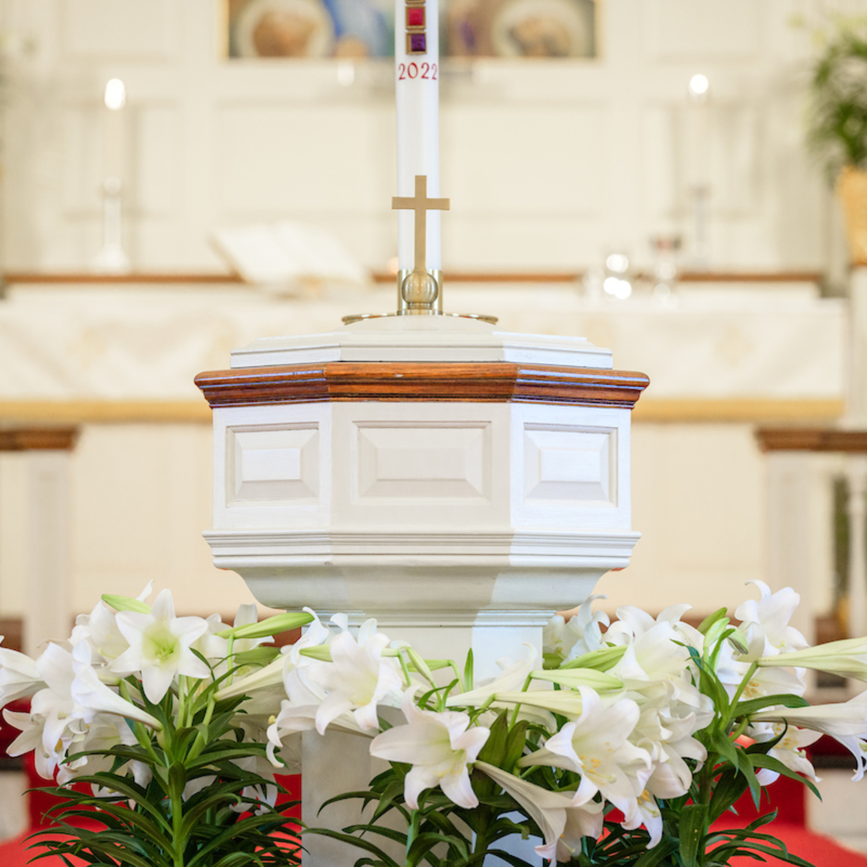 Adult Catechumenate #9:  The Sacrament of Baptism