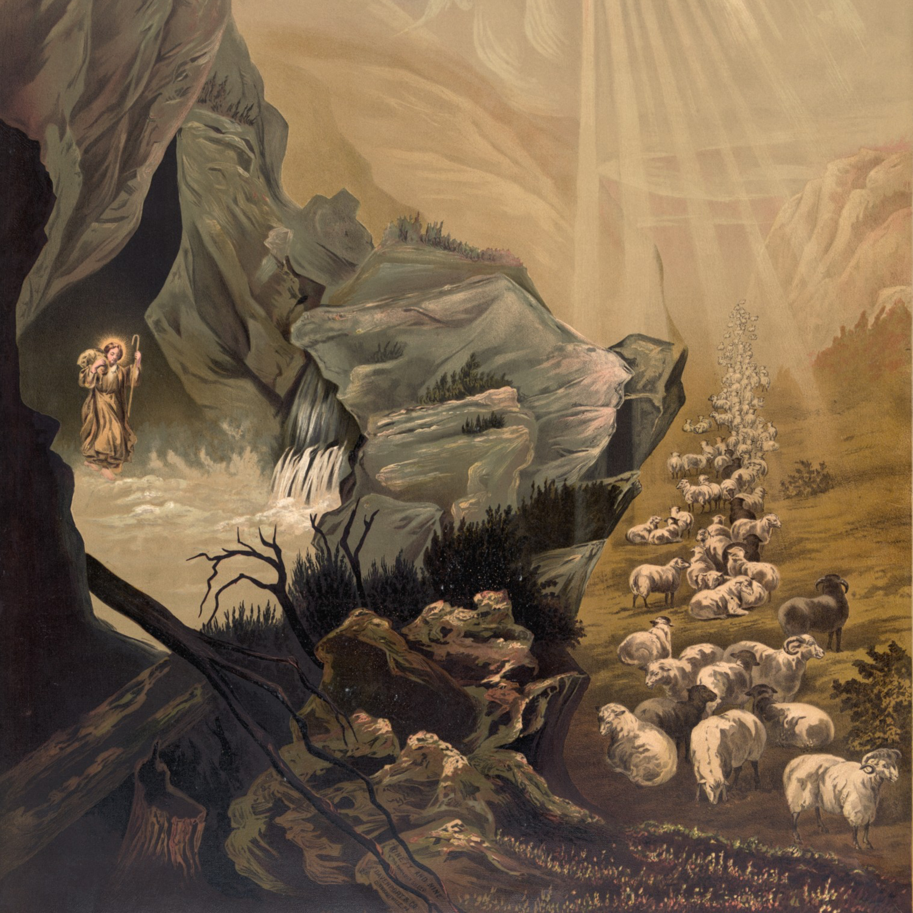 "The Good Shepherd would not let us perish" Trinity 3 2023