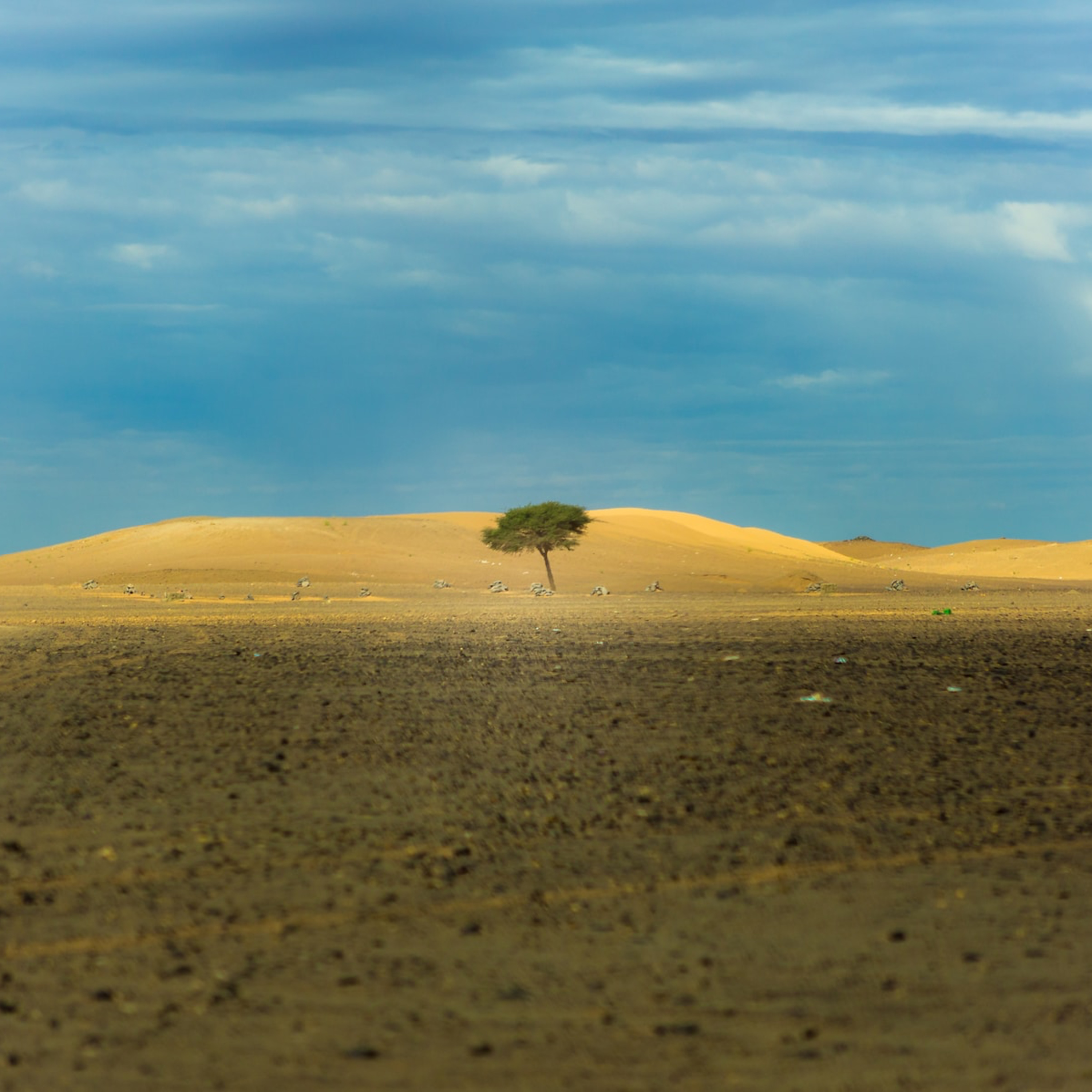 Bible Study: Resilience in the Parish