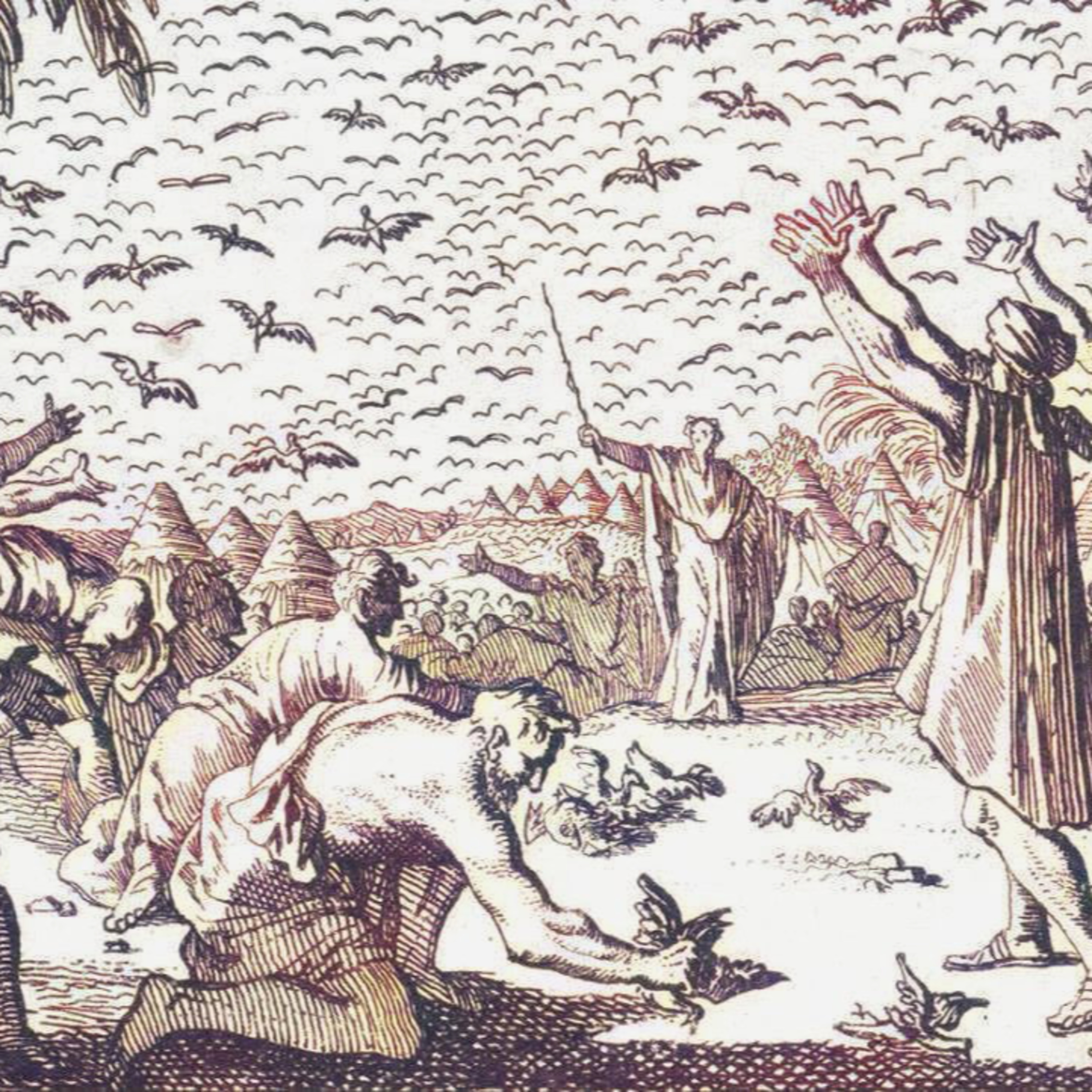 The Lord Feeds His Grumbling People with Quail—Num 11:18-35
