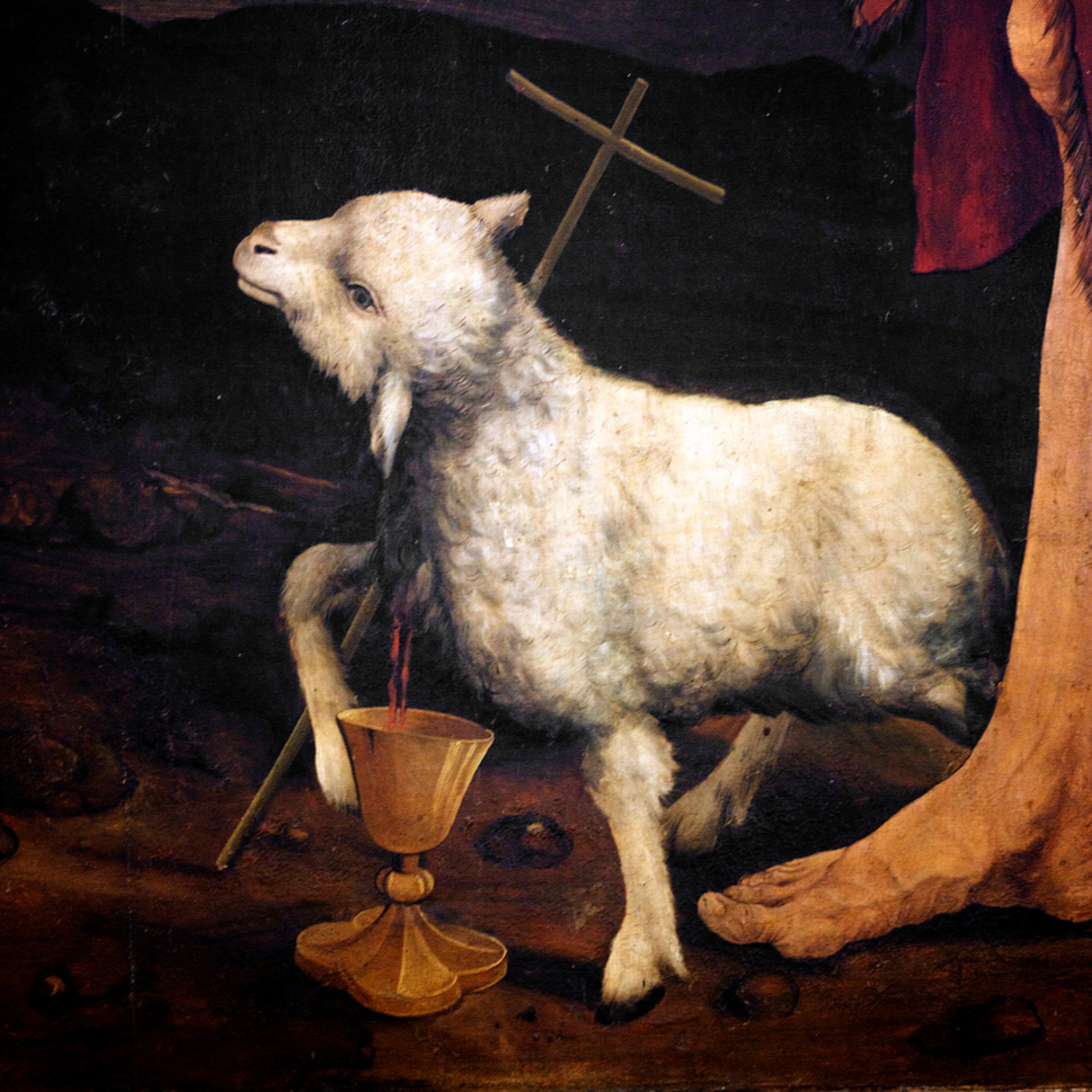 Behold the Lamb of God—John 1:19-34