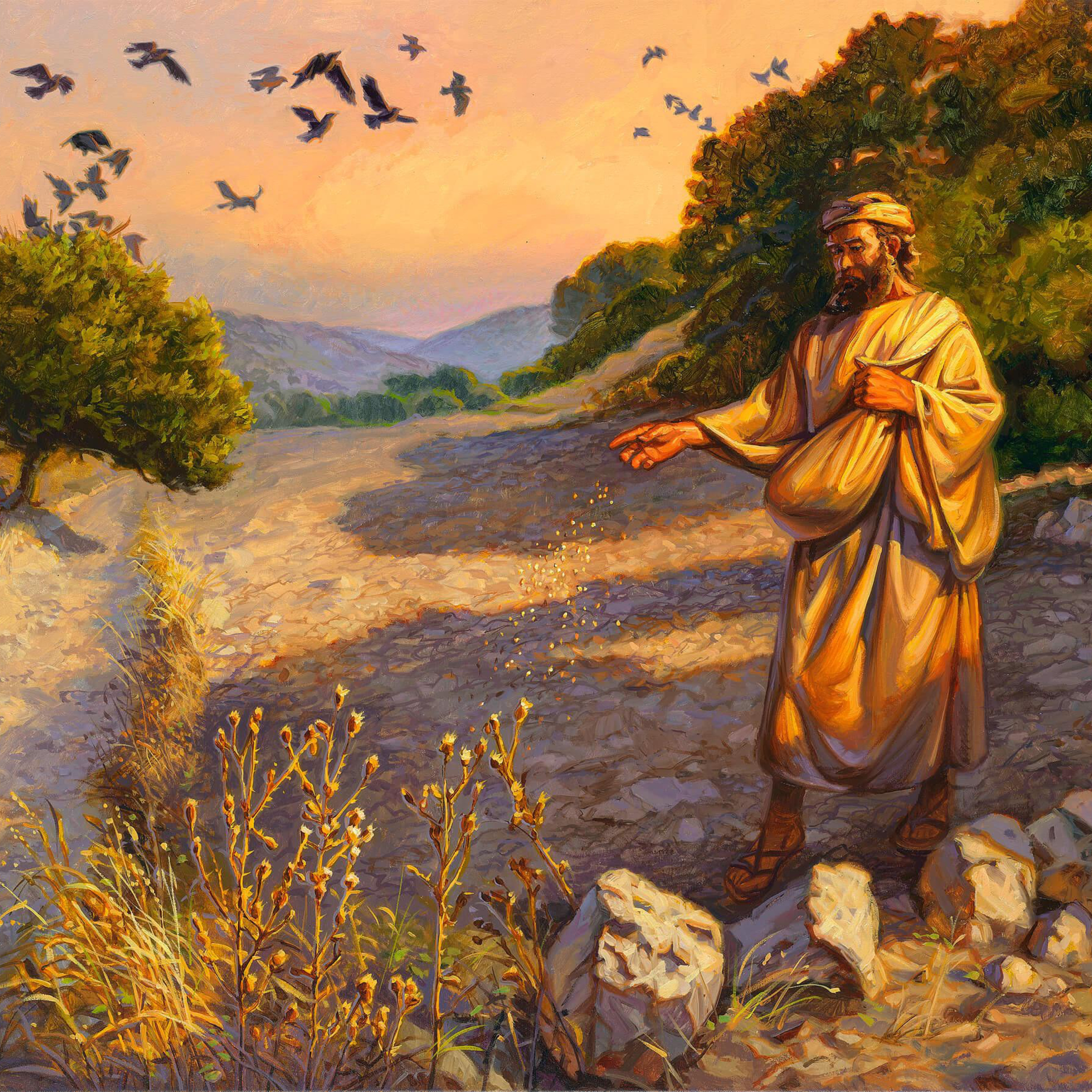 "To you it has been given to know the mysteries of the kingdom of God" Sexagesima 2024