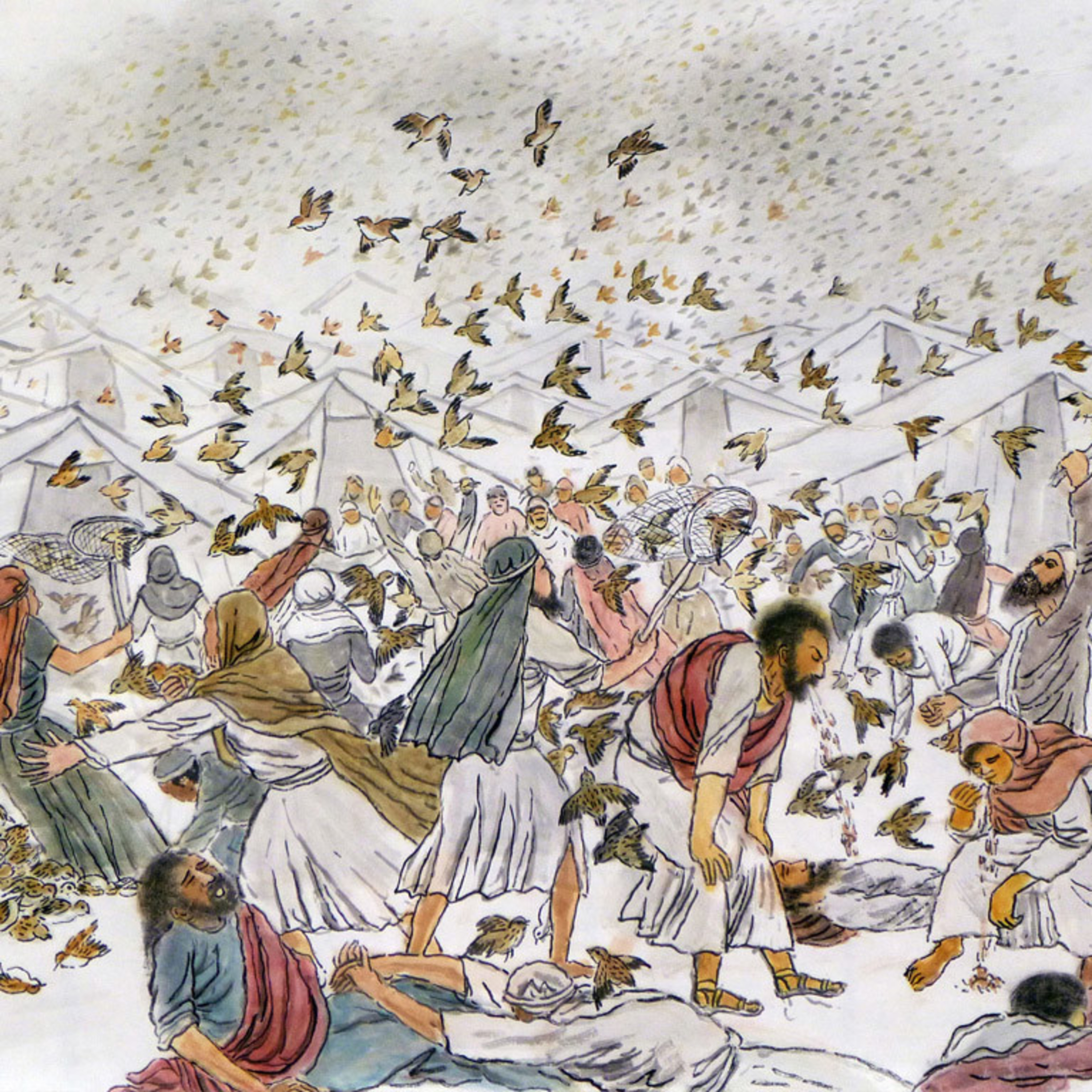 People Crave Meat—Numbers 11:4-6, 10, 13, 18-23, 31-34