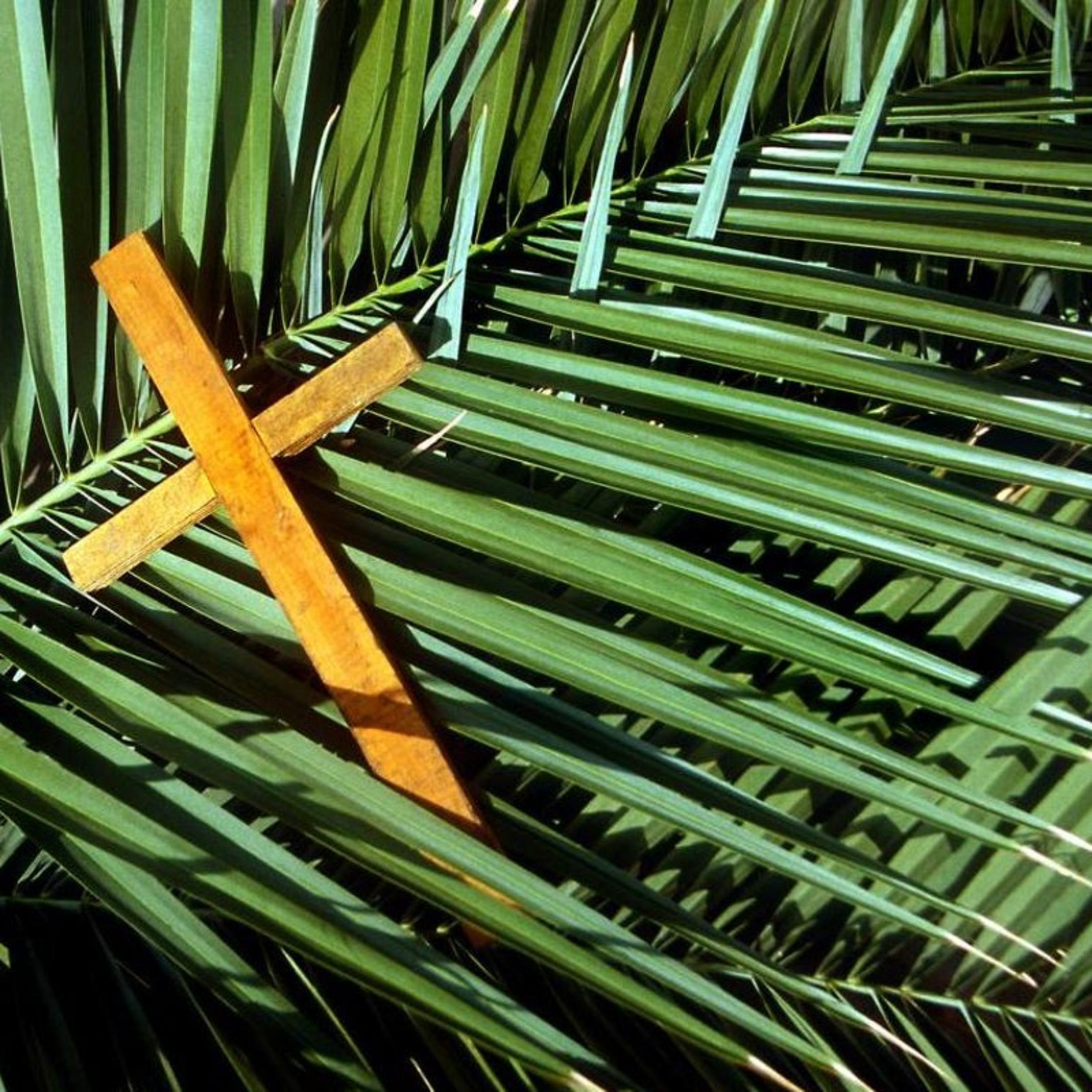 Preaching and Teaching from St. John Ev. Lutheran Church (Sherman Center), Random Lake, Wisconsin