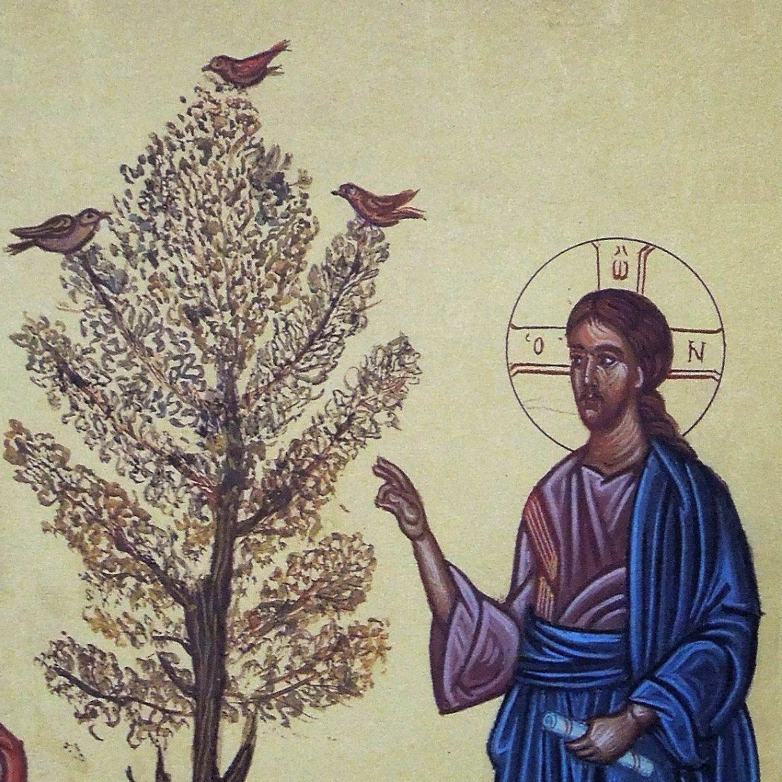 Holy Monday: John 12:1-36