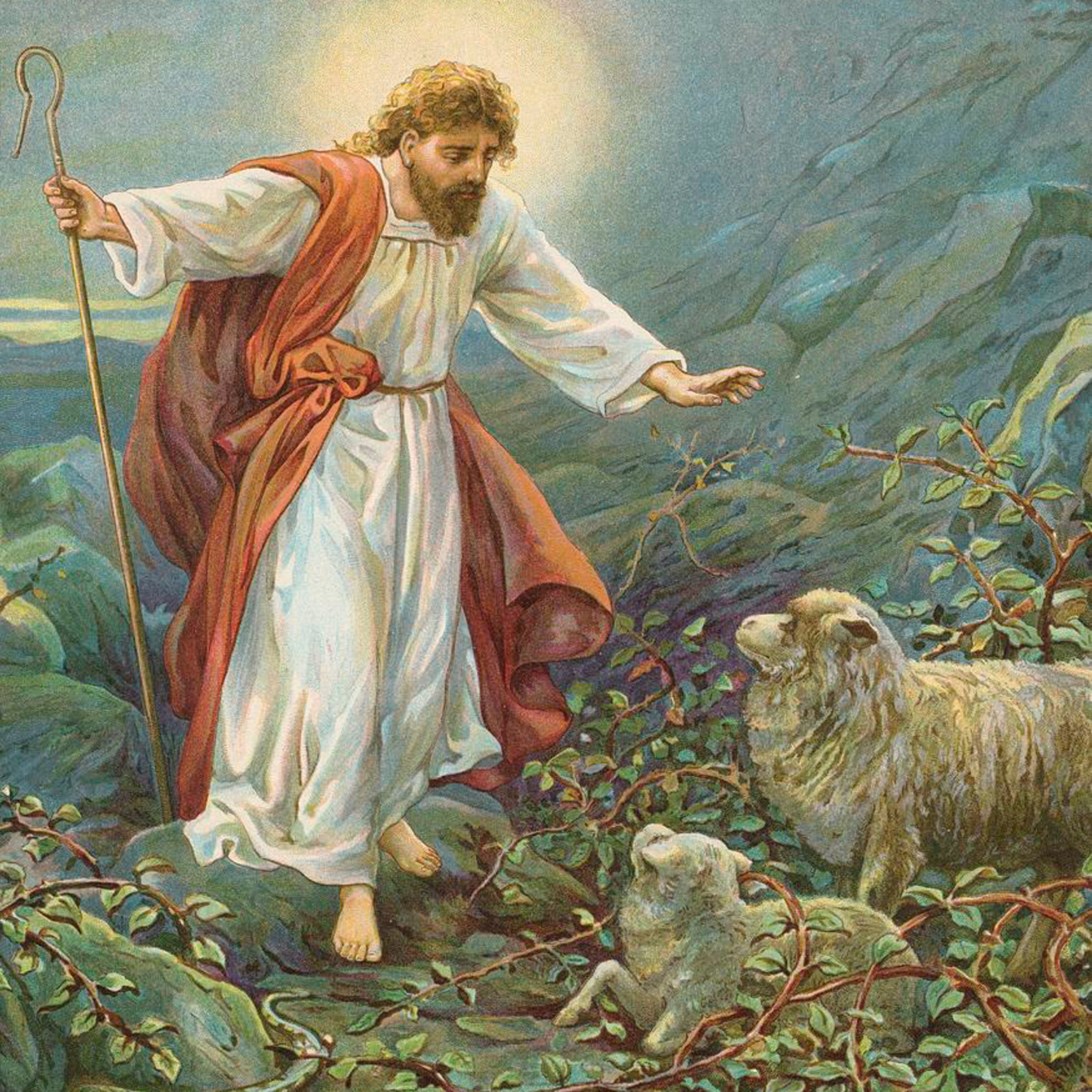 I Will Search for My Sheep—Ezekiel 34:11-16; 1 Peter 2:21-25