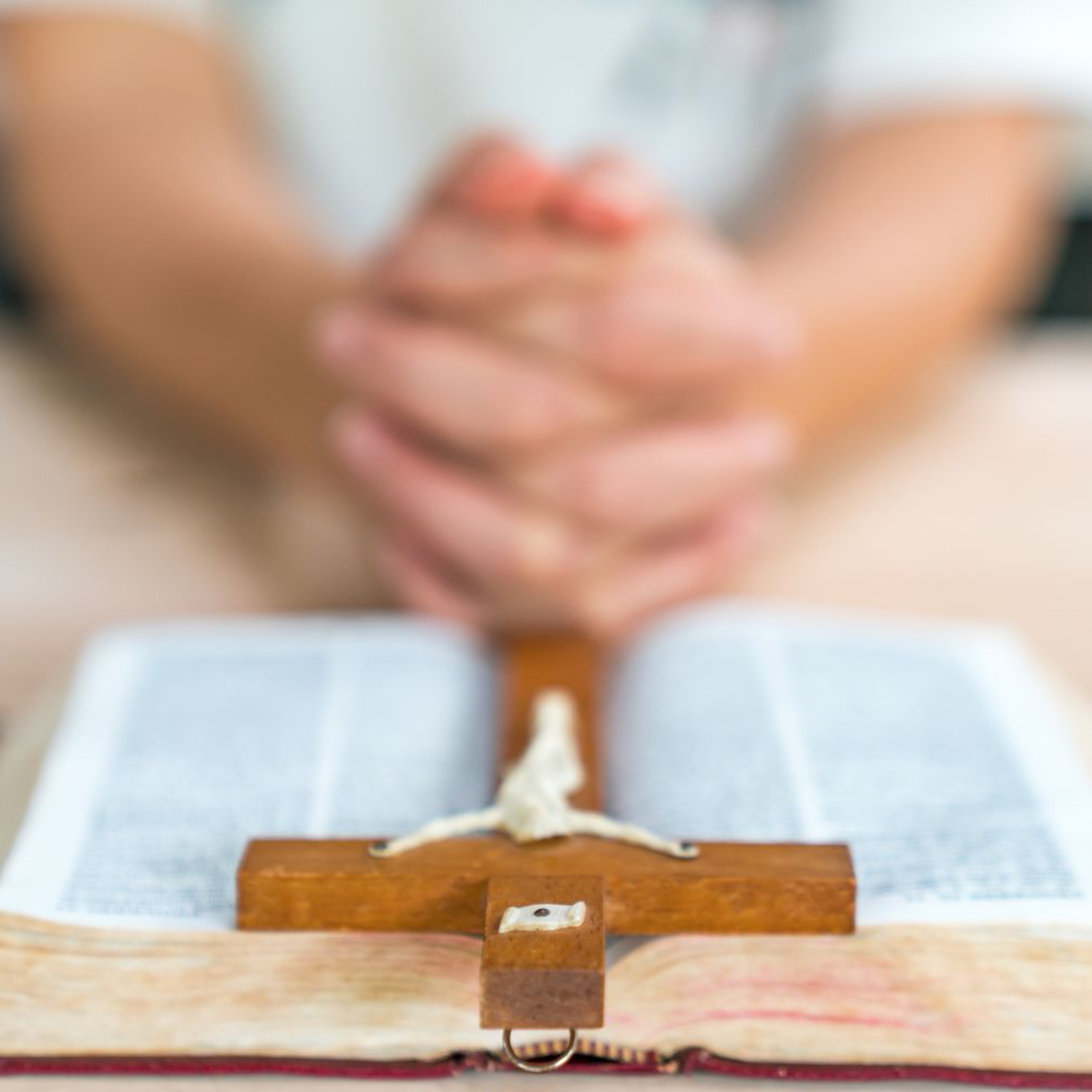 "The saints and angels and the whole host of heaven pray with you to Christ Jesus" Rogate 2024