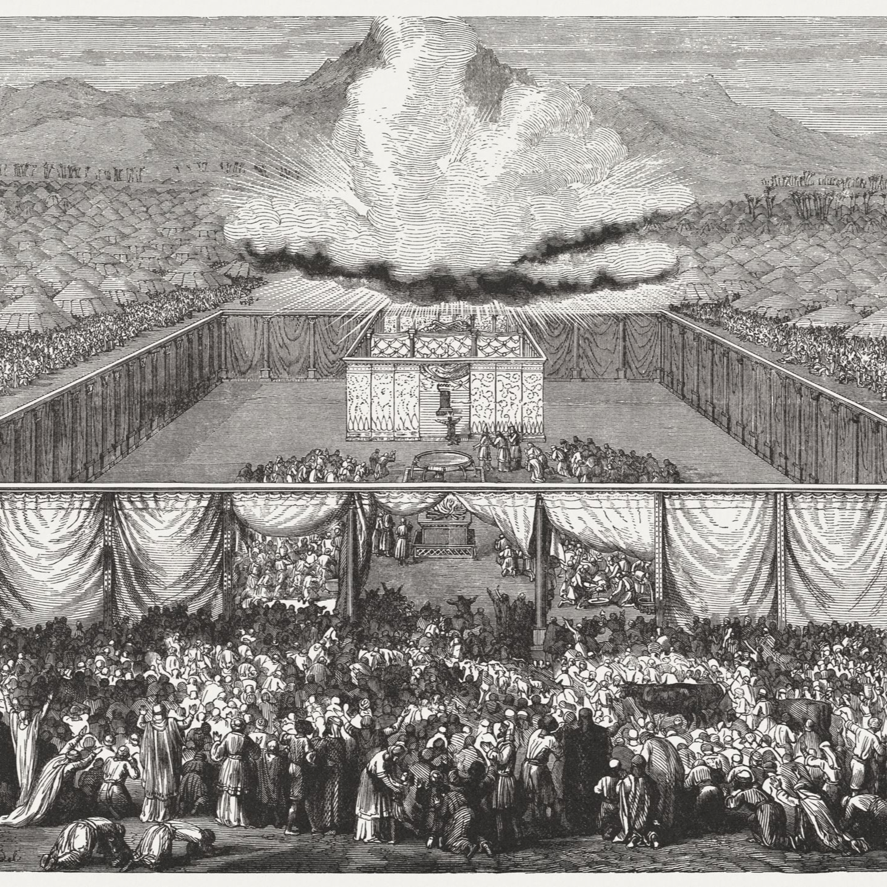 Peter’s Sermon on the Prophet Joel—Acts 2:14-21