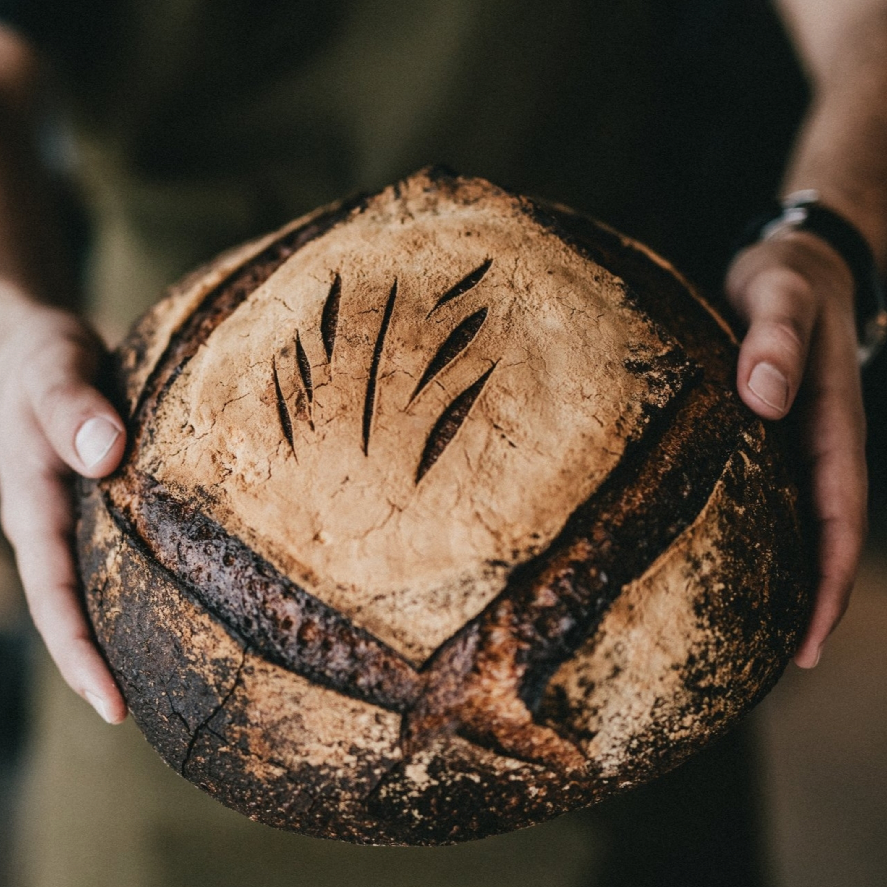 "Your Messiah King with Bread that Gives Life" Wednesday of Trinity 10 2024