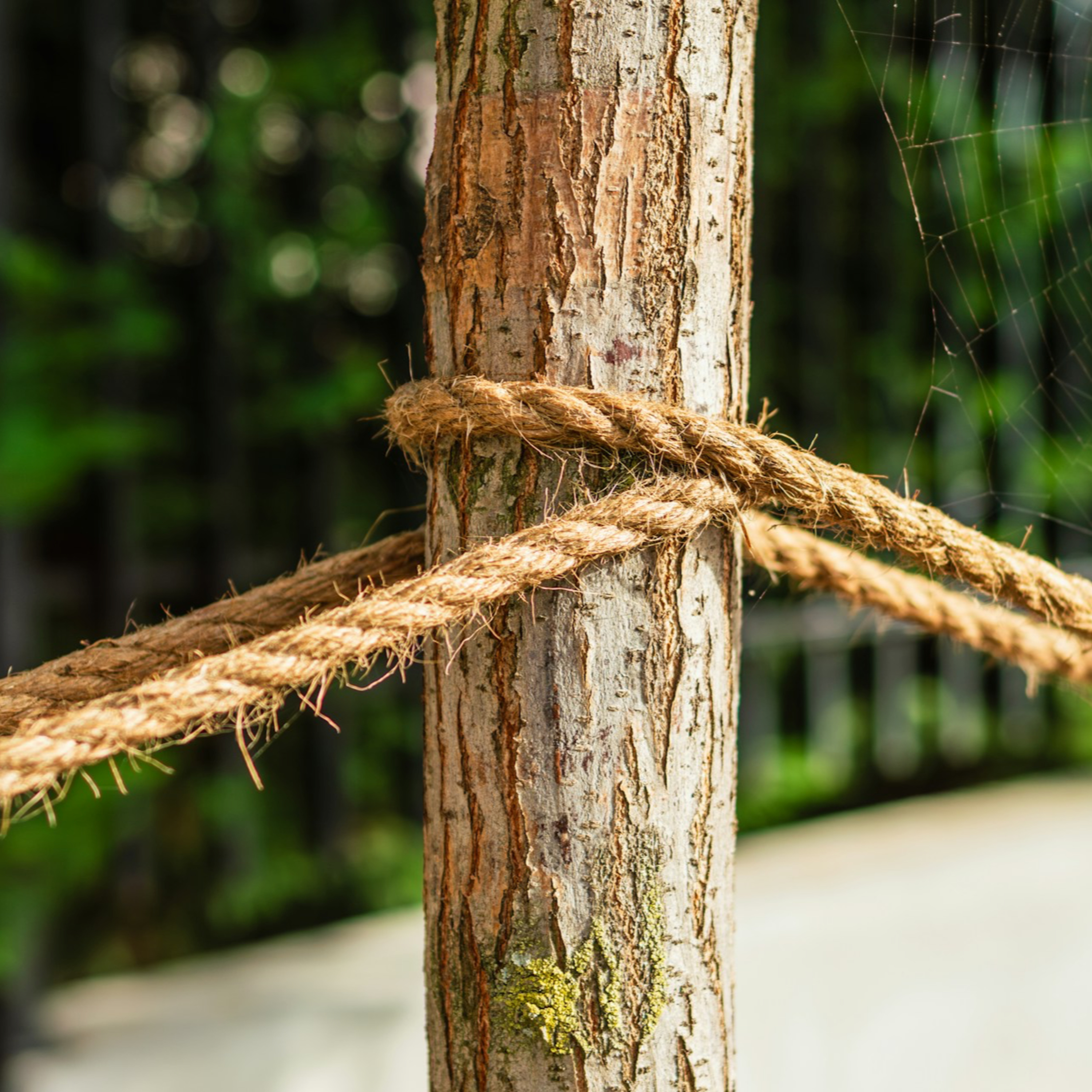 Bible Study: Ecclesiastes 4:4-12