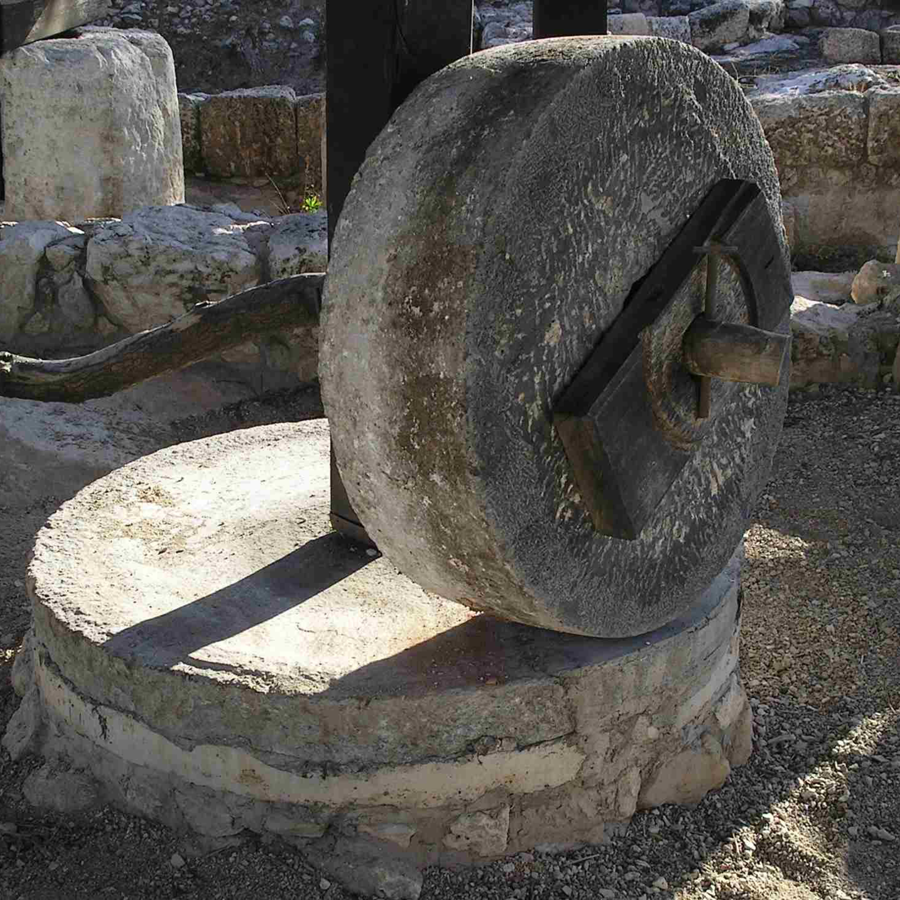 "All Things Ordered that the Gospel Be Preached" — Wednesday of St. Michael 2024