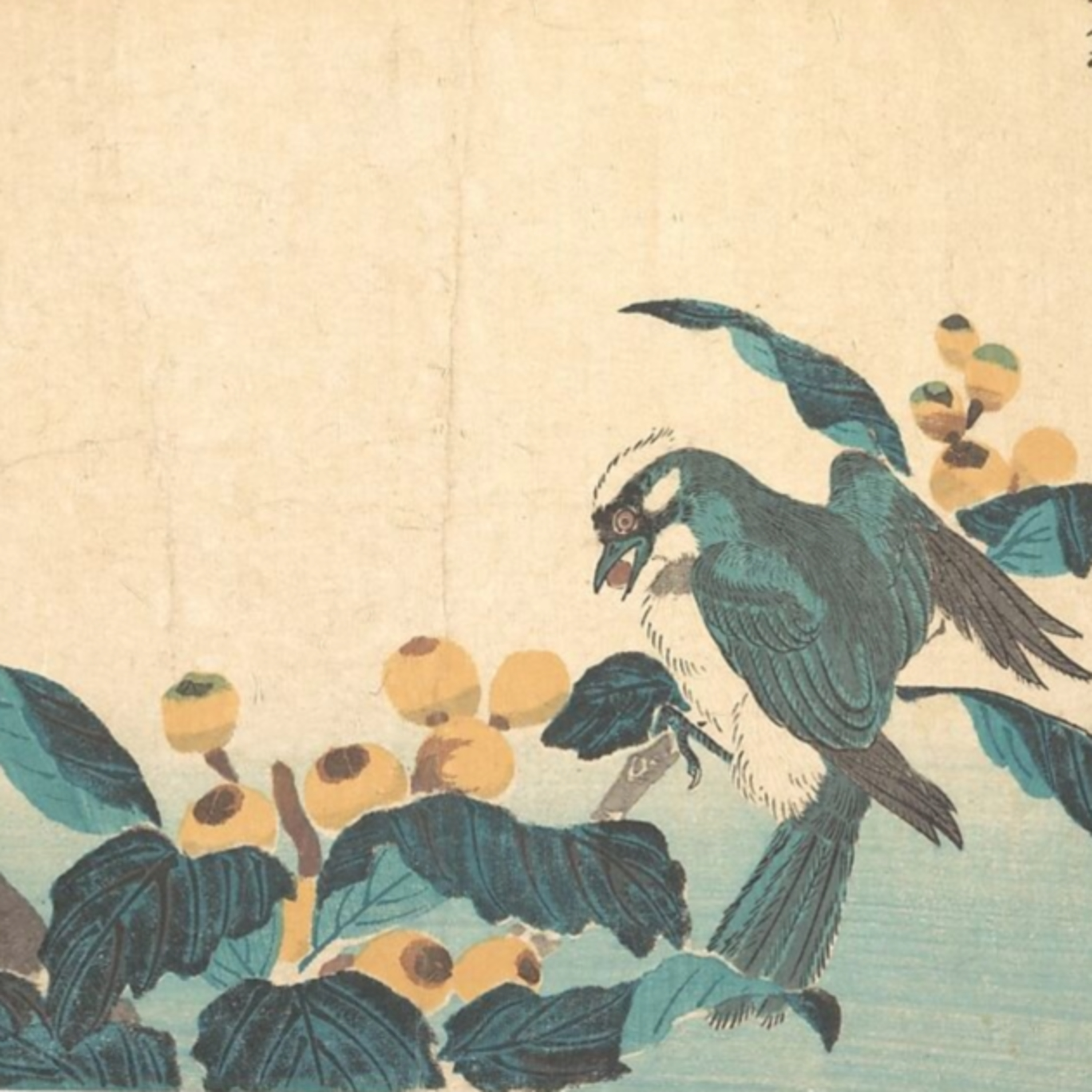 Do Not Worry about Your Life—Luke 12:22-34