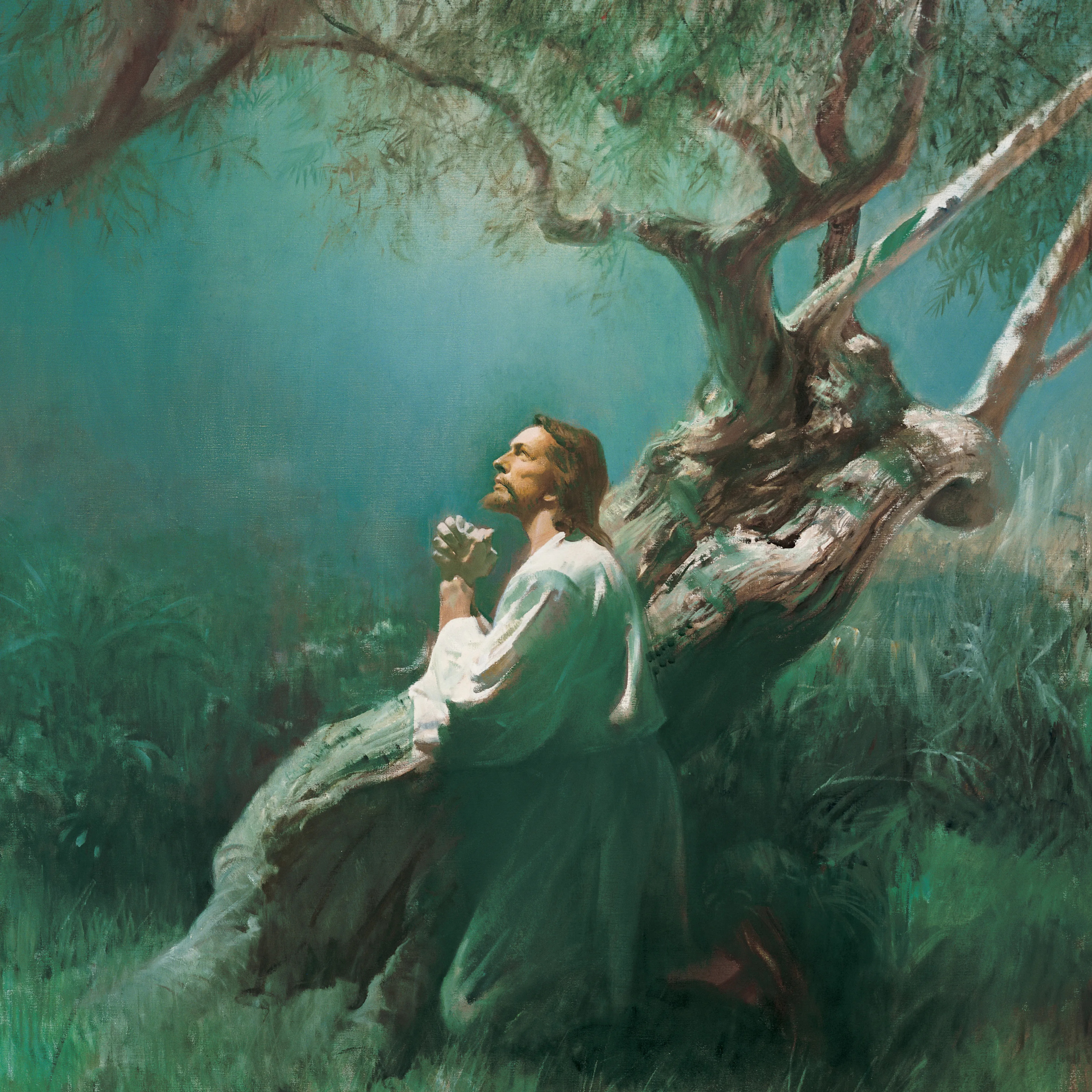 Jesus Prays in the Garden of Gethsemane—Matthew 26:36-45