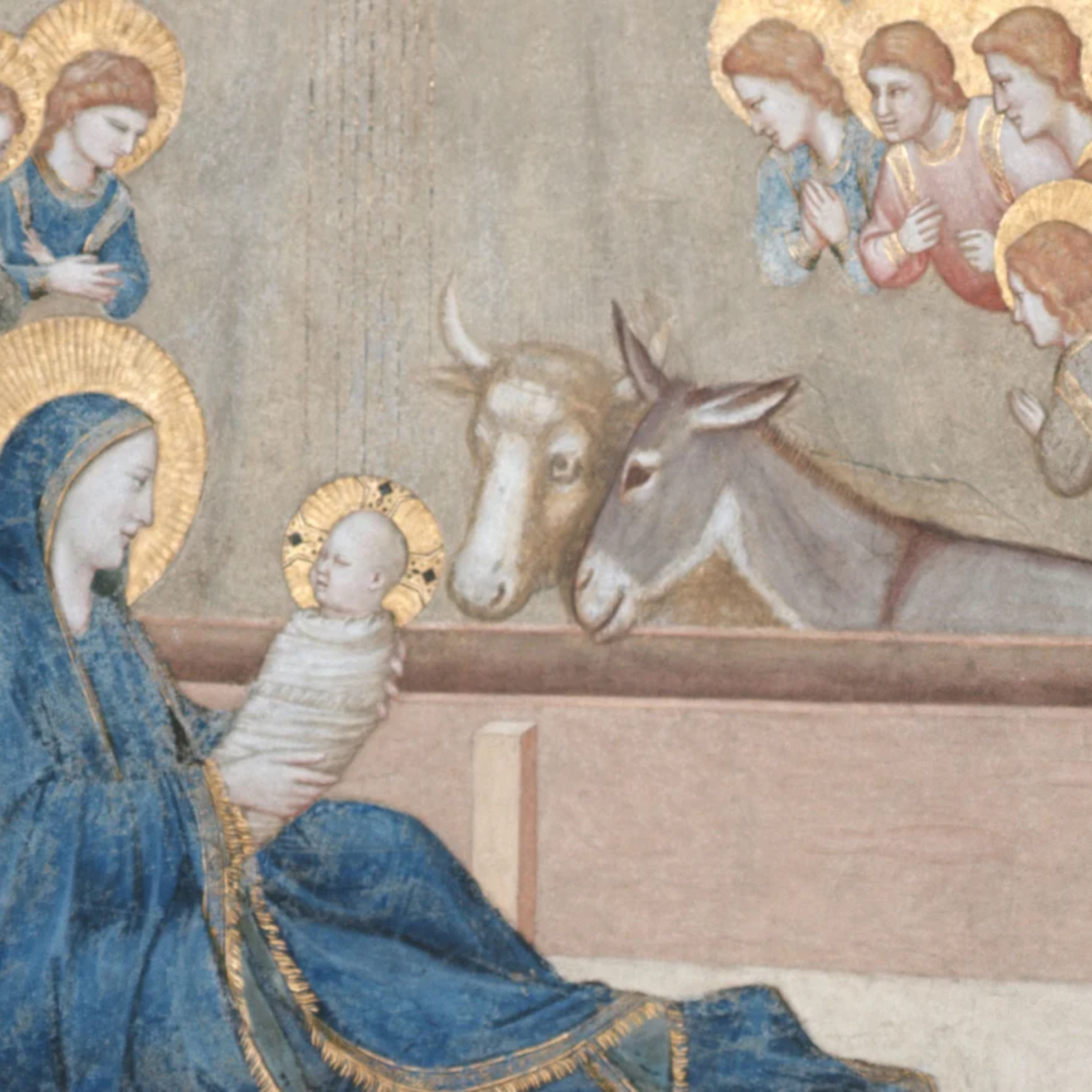 Sermon: The Ox and the Ass — Advent Midweek 3