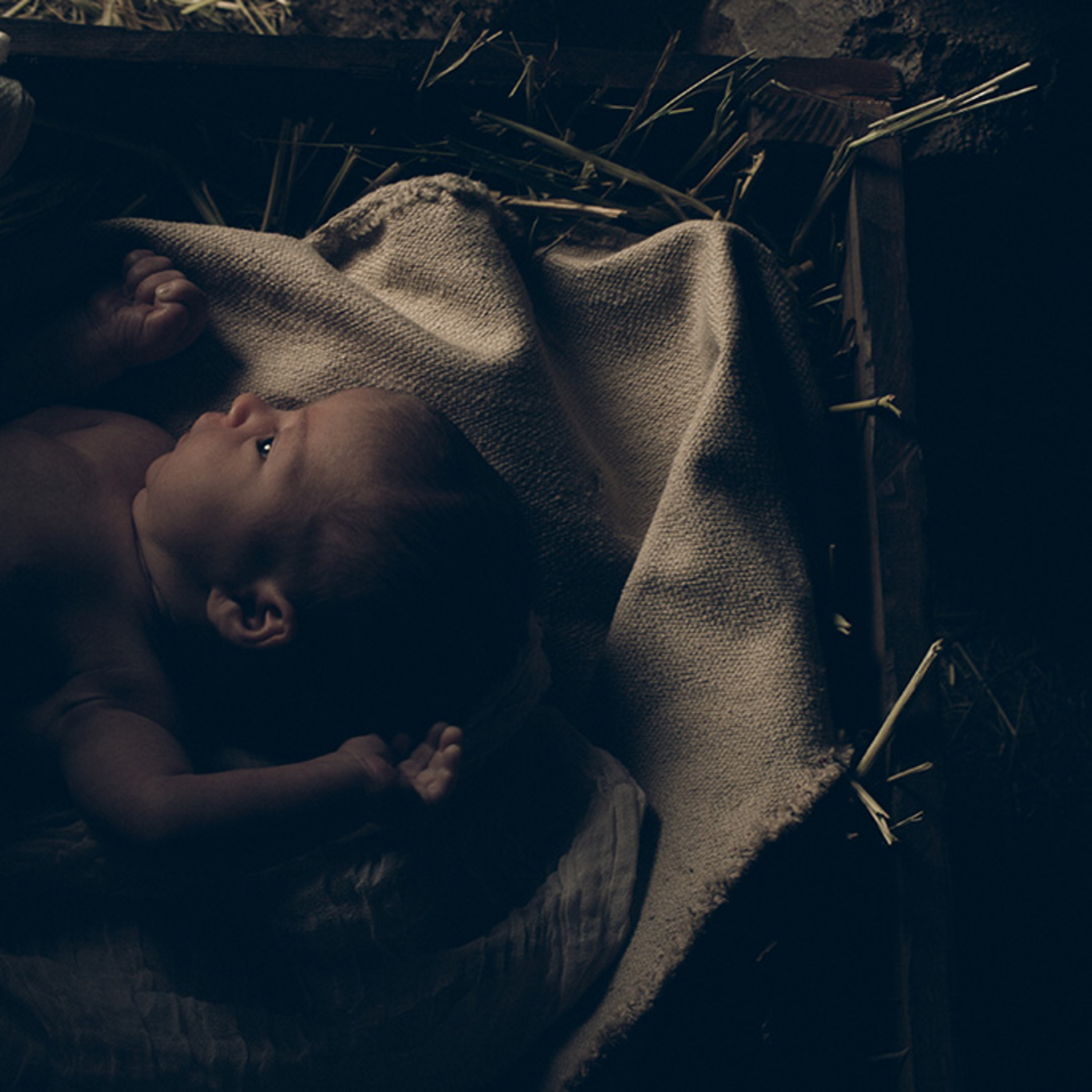 Christmas Eve: The Nativity of Our Lord—Luke 2:1-20