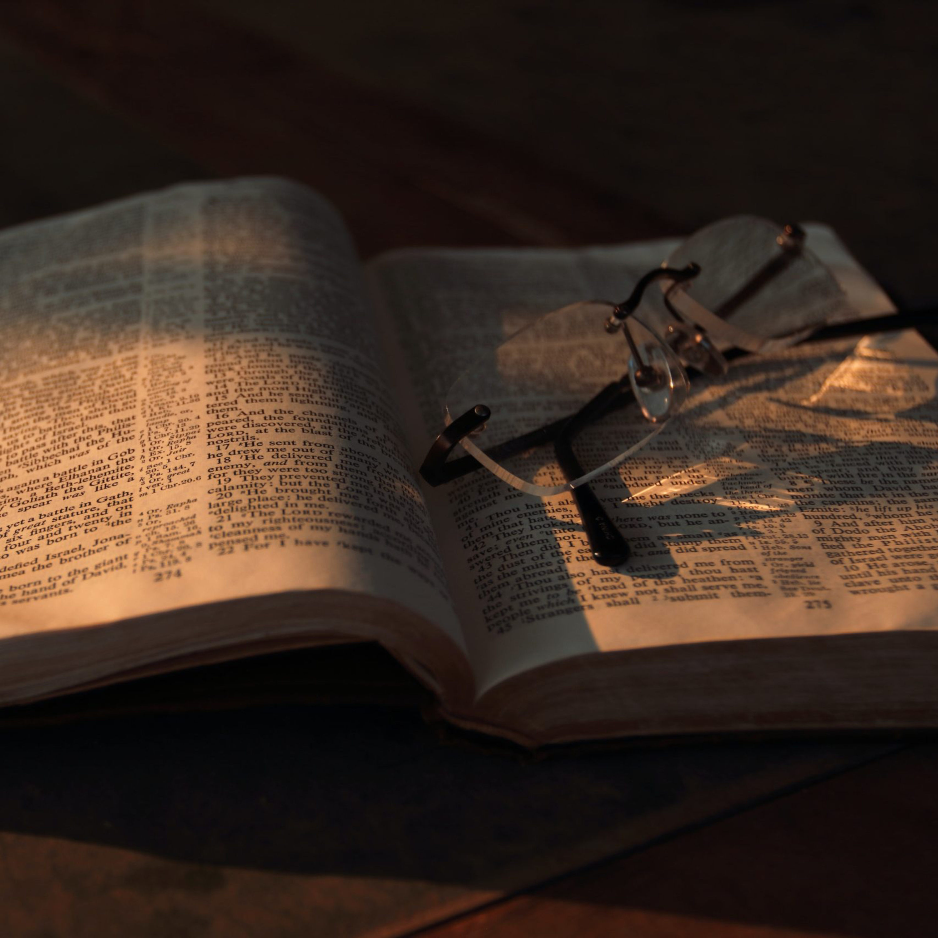 The Bondage of the Will - The Argument About Scripture