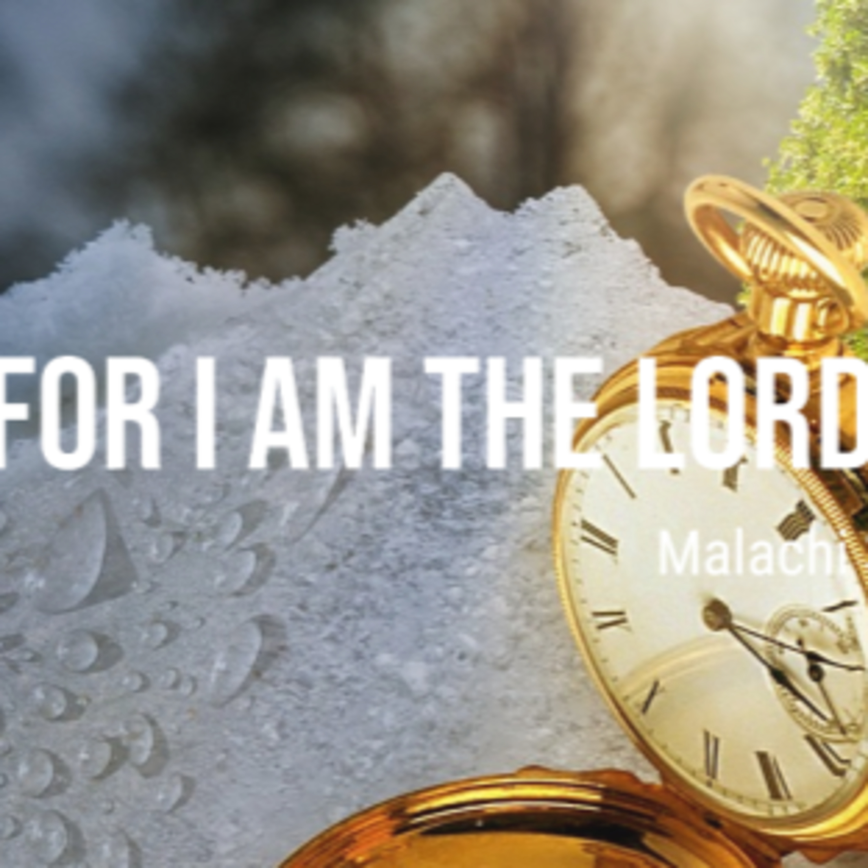 The Bondage of the Will  - The Argument About God