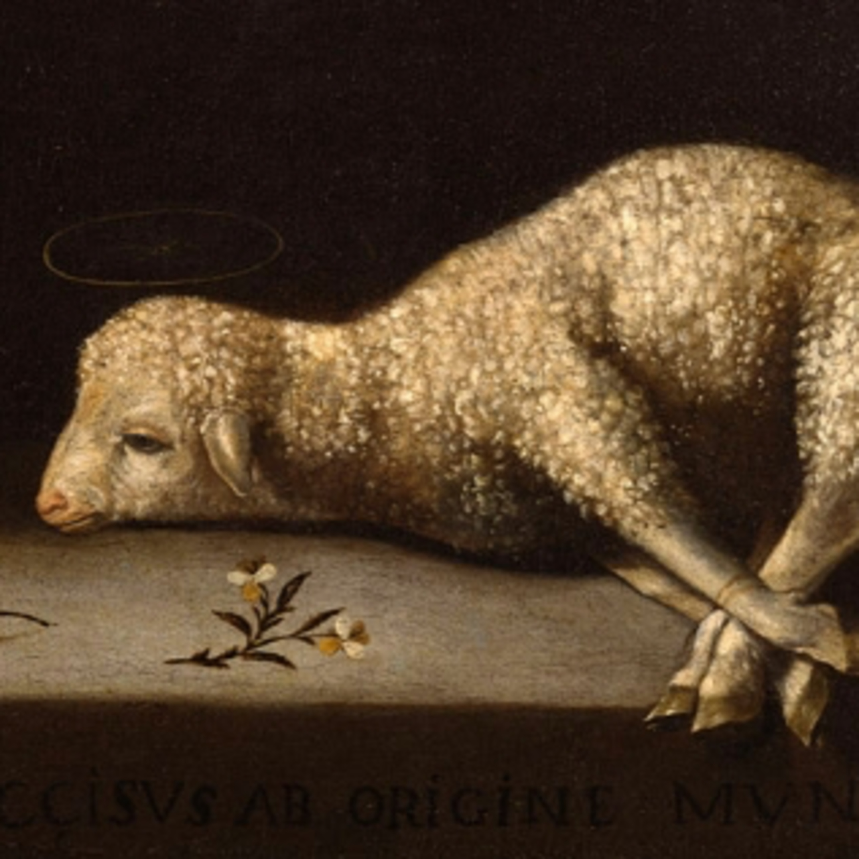 Midweek: The Preparation of the Passover—Luke 22:1-13