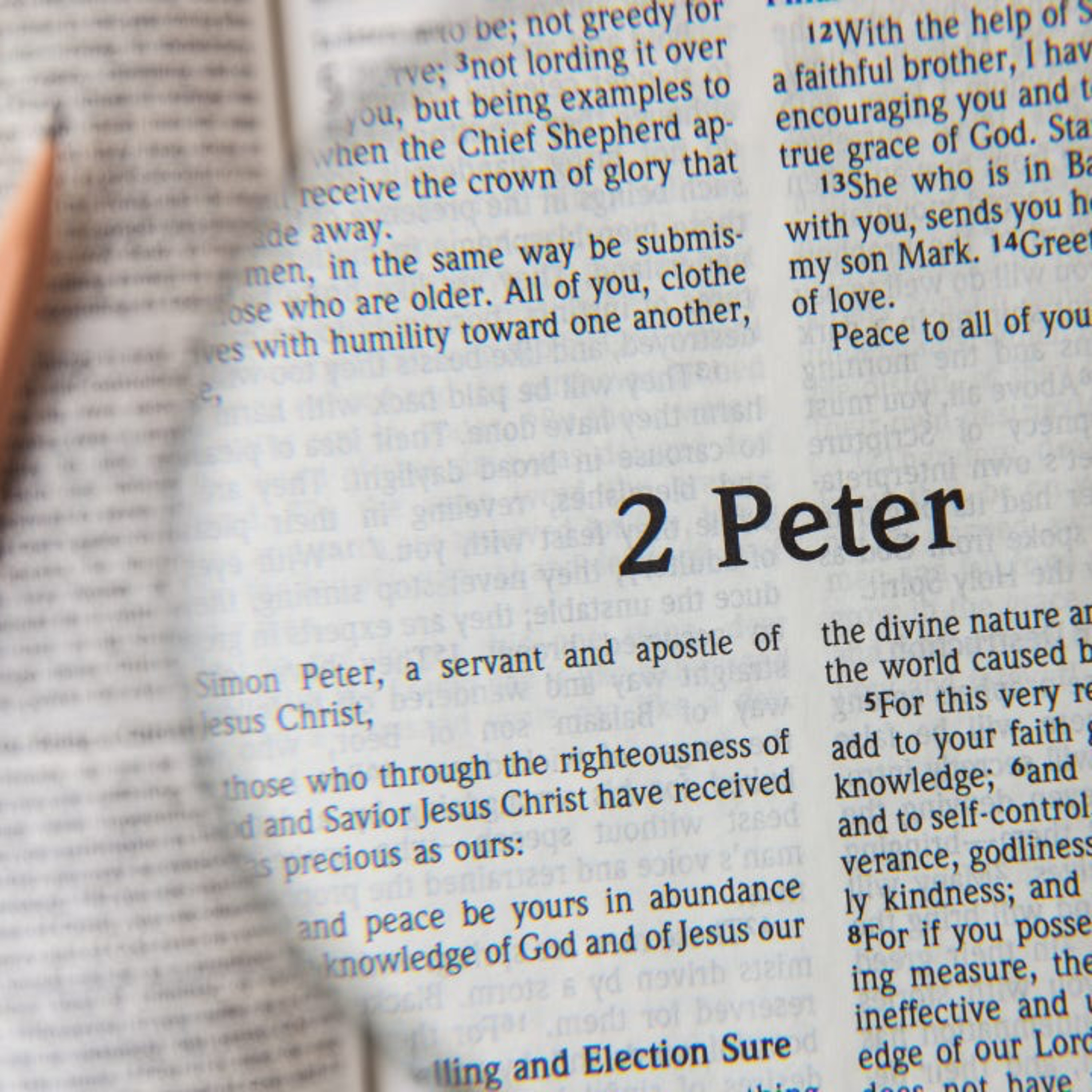 "Be even more diligent to make your call and election sure" Ash Wednesday 2025