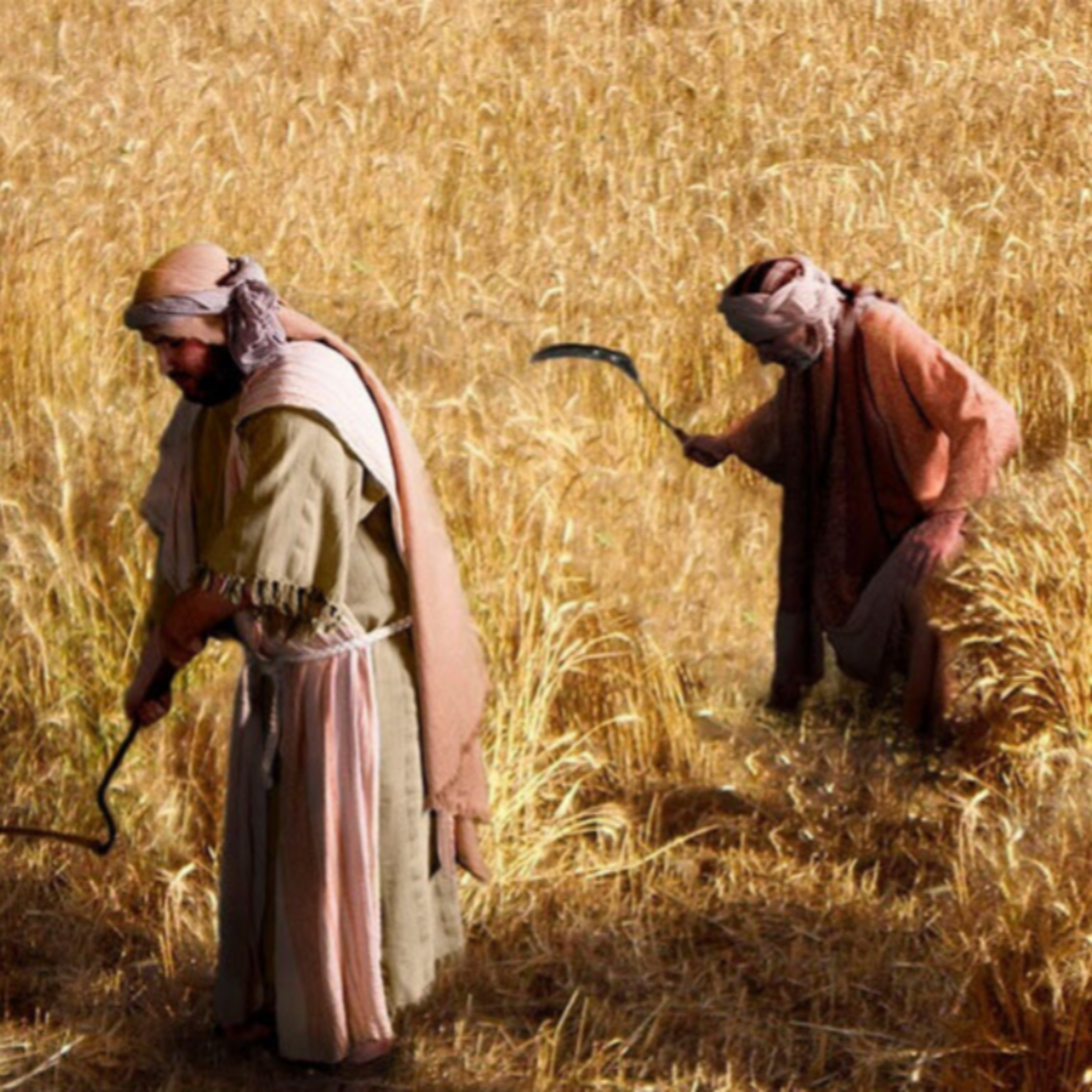 Jesus Food Is to Do the Father’s Will—John 4:31-38