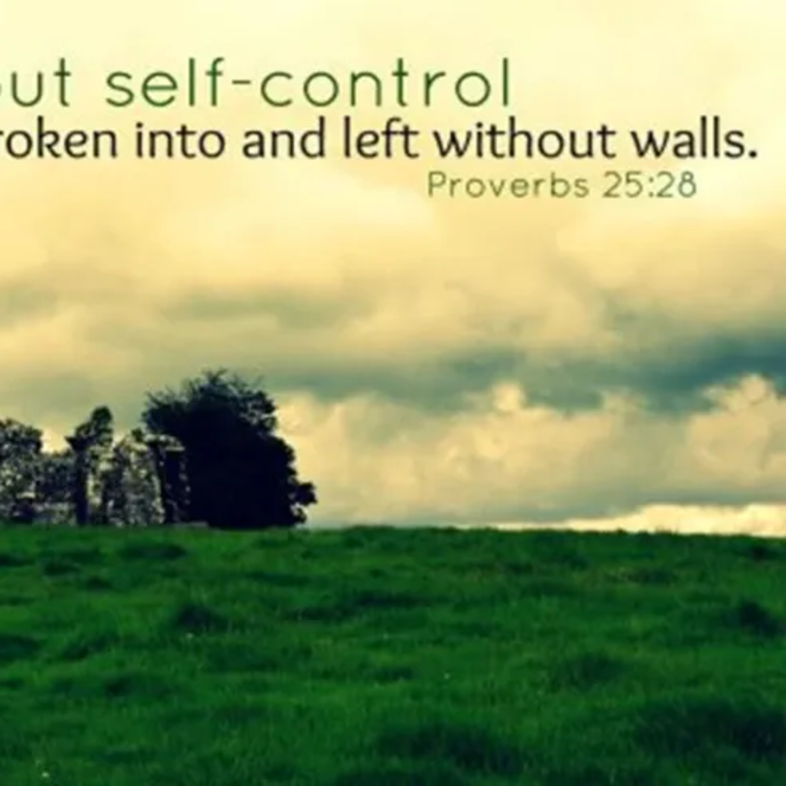 "Self-control is a gift of the Holy Spirit" Wednesday of Lent 2