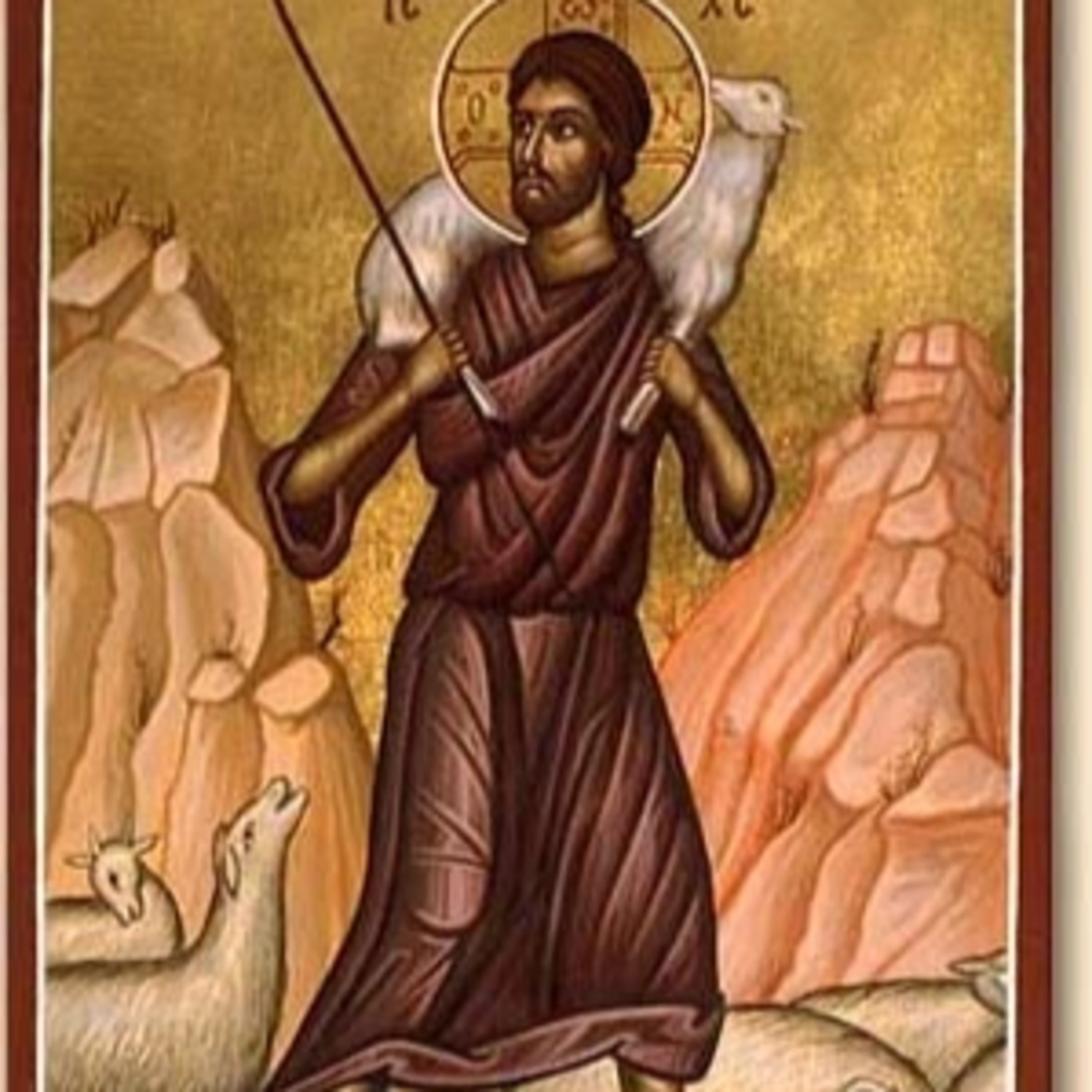 Sunday’s OT and Epistle—Ezekiel 34:11-16; 1 Peter 2:21-25