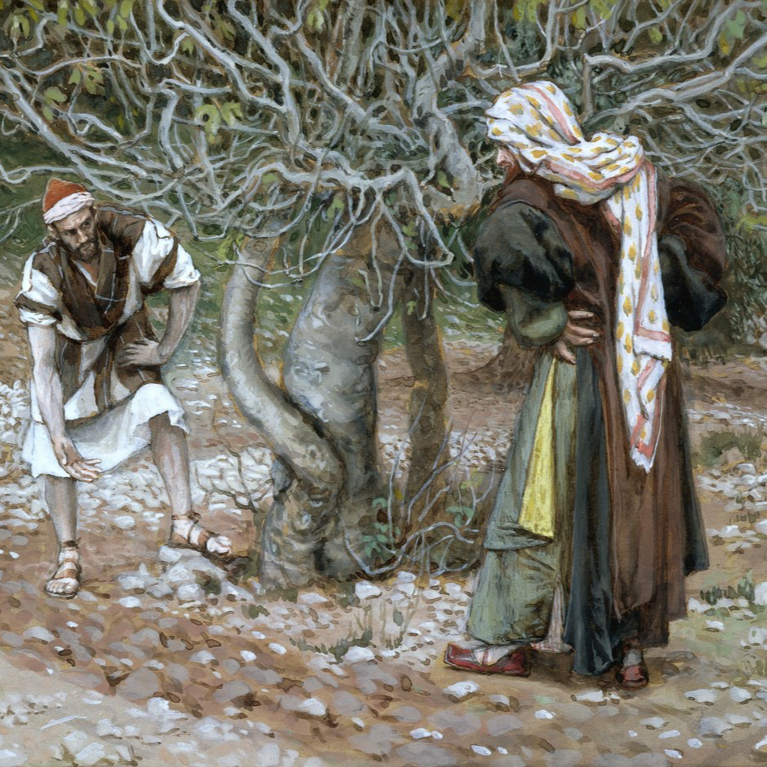 The Parable of the Fig Tree—Luke 21:29-38