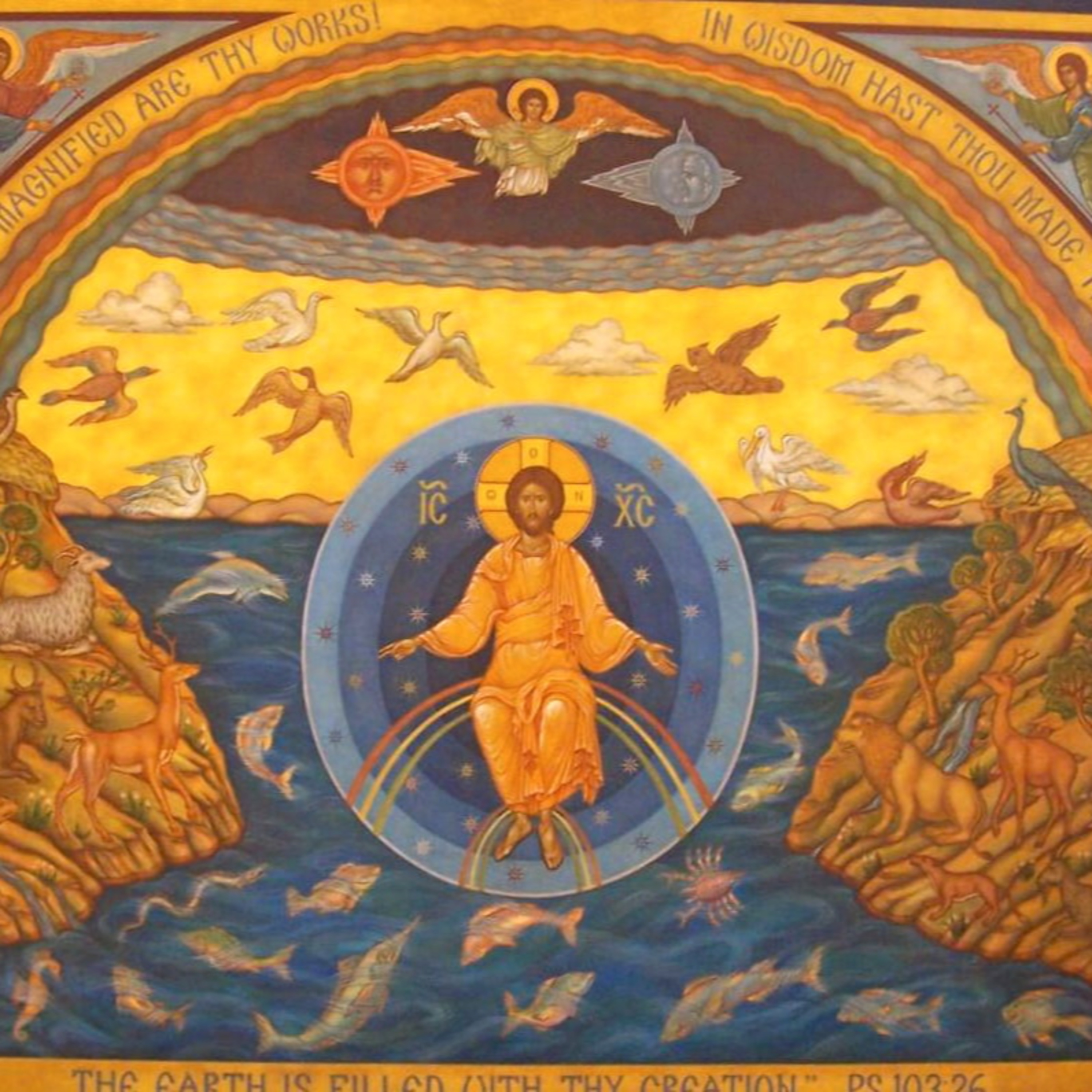 "What Christ does not assume, He does not heal" Christmas Day 2025