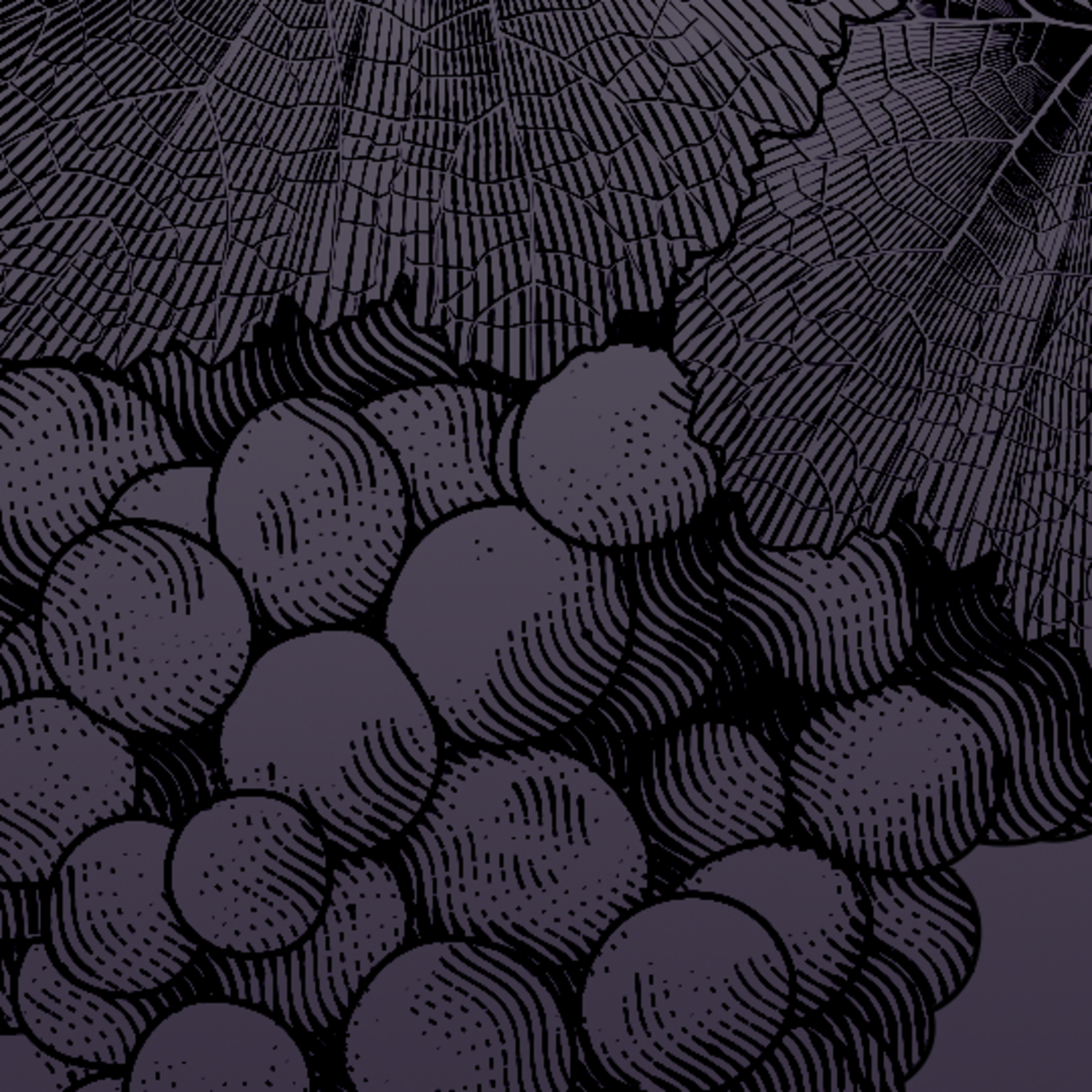 Sunday’s OT and Epistle—Amos 9:11-15; Romans 12:6-16a