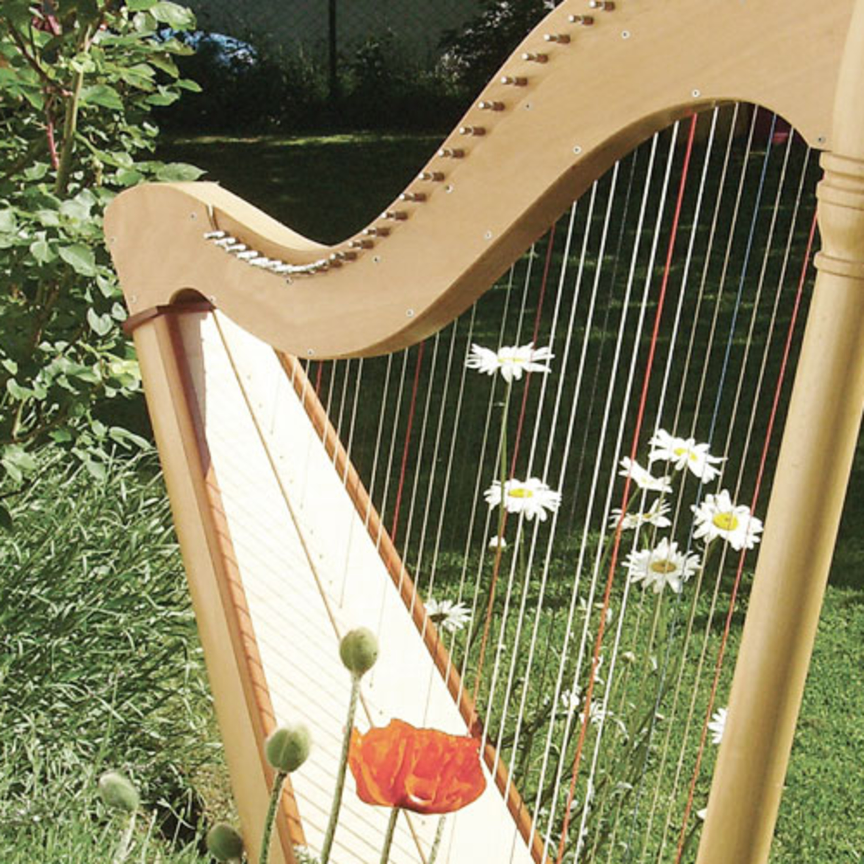 Heidelberg Disputations (1518): Theses 5 & 6