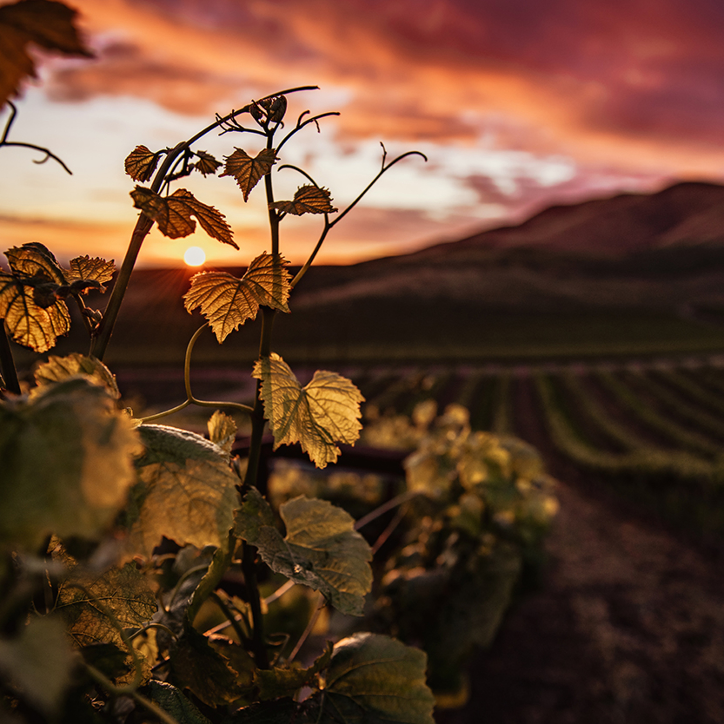 "Real renewal is throwing wage-thinking into the fire" Septuageisma 2026