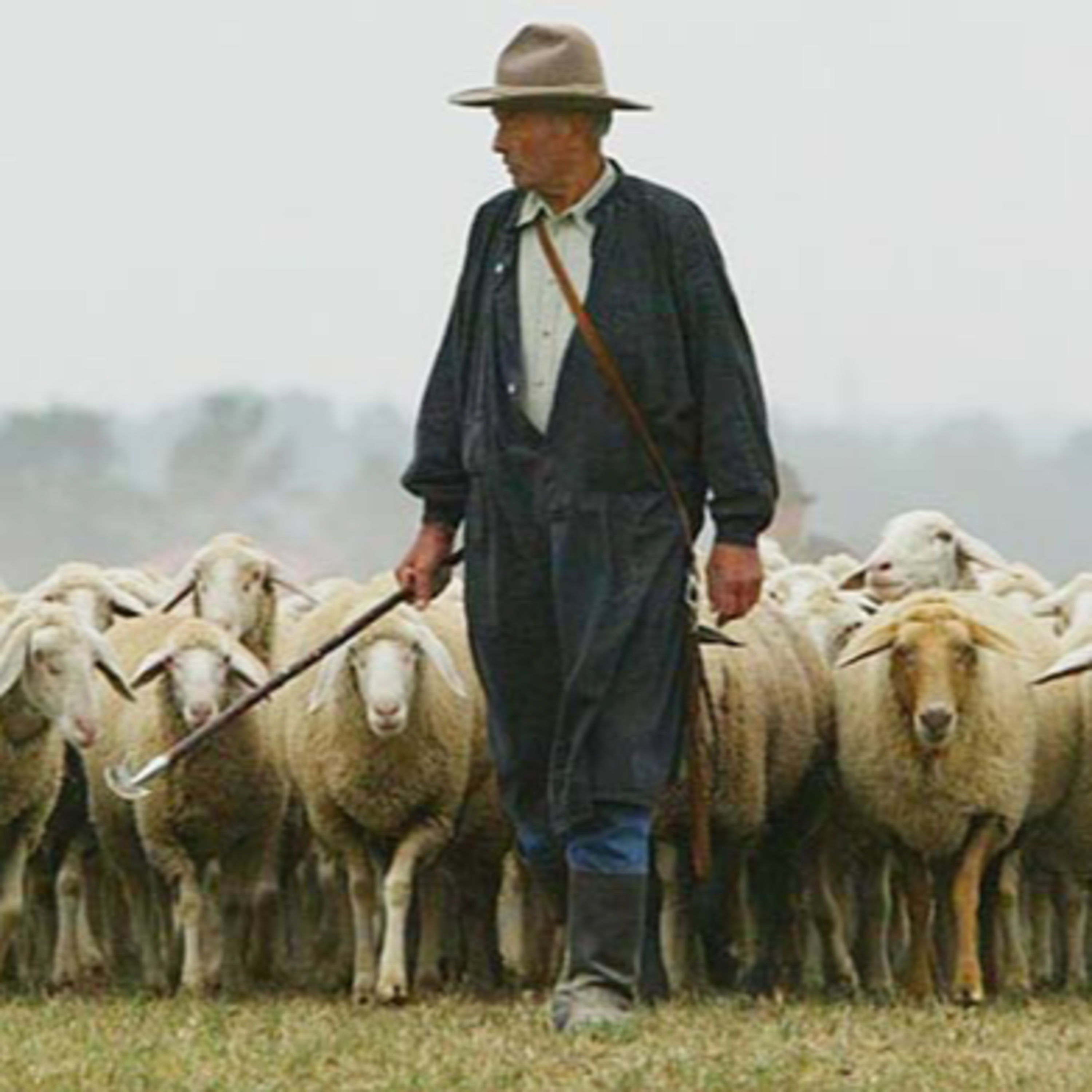 The Shepherd Knows the Sheep—John 10:22-42